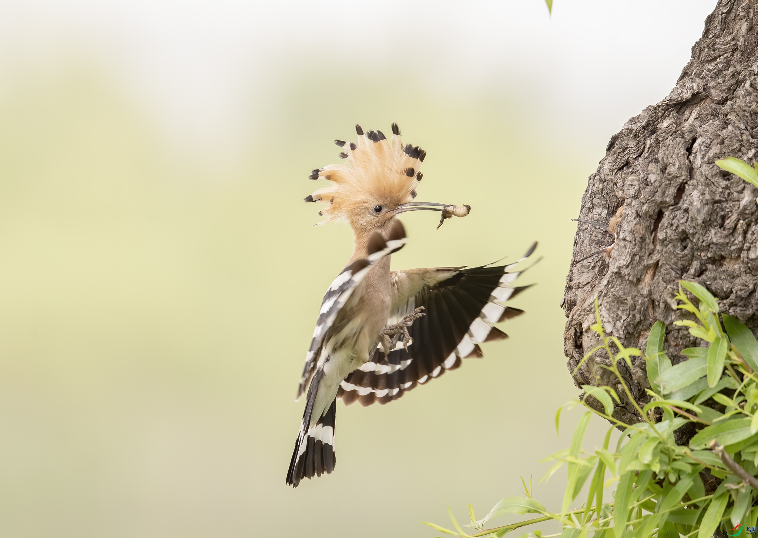 AC3I0936 ����.jpg