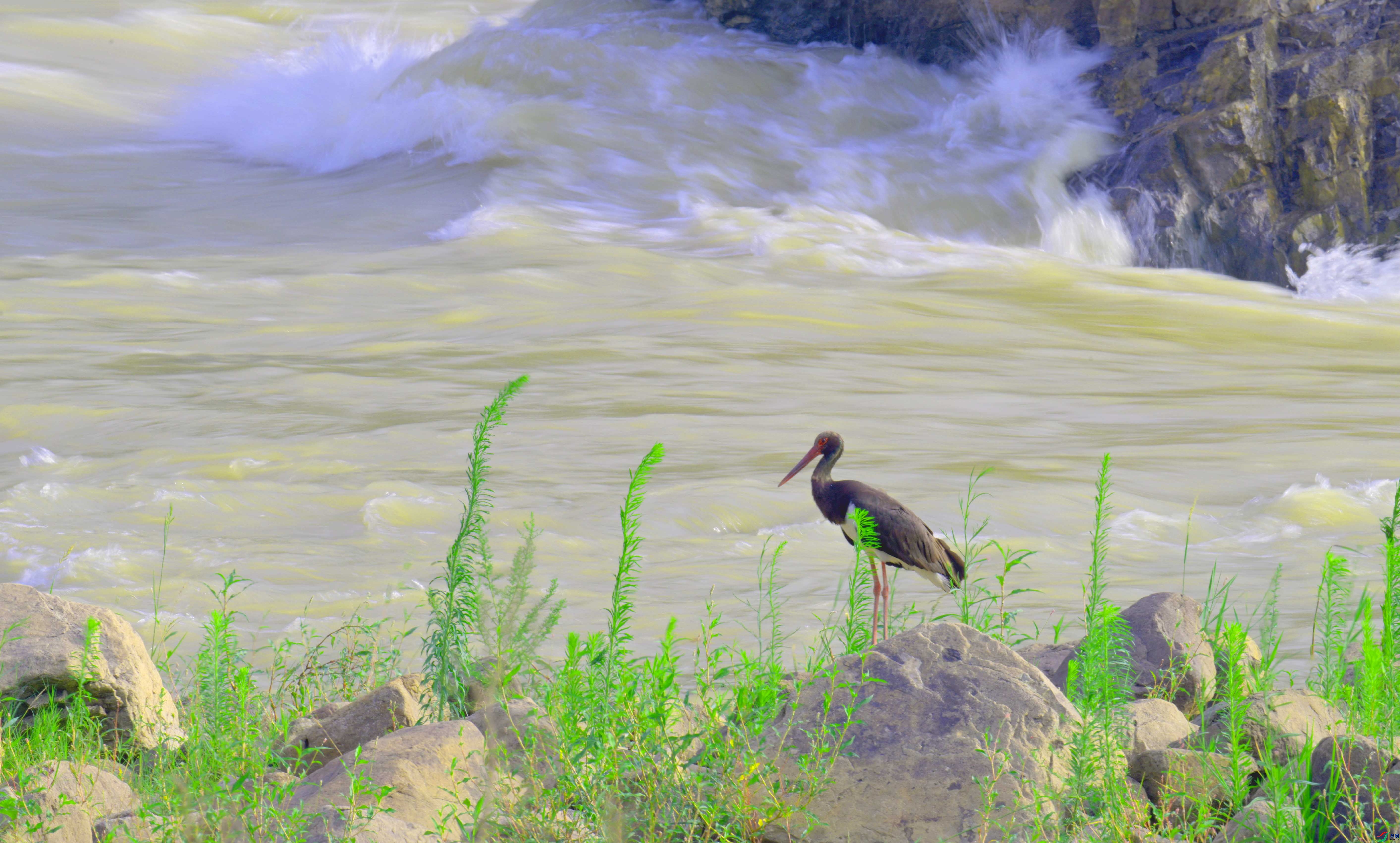 DSC_8783 ����.jpg