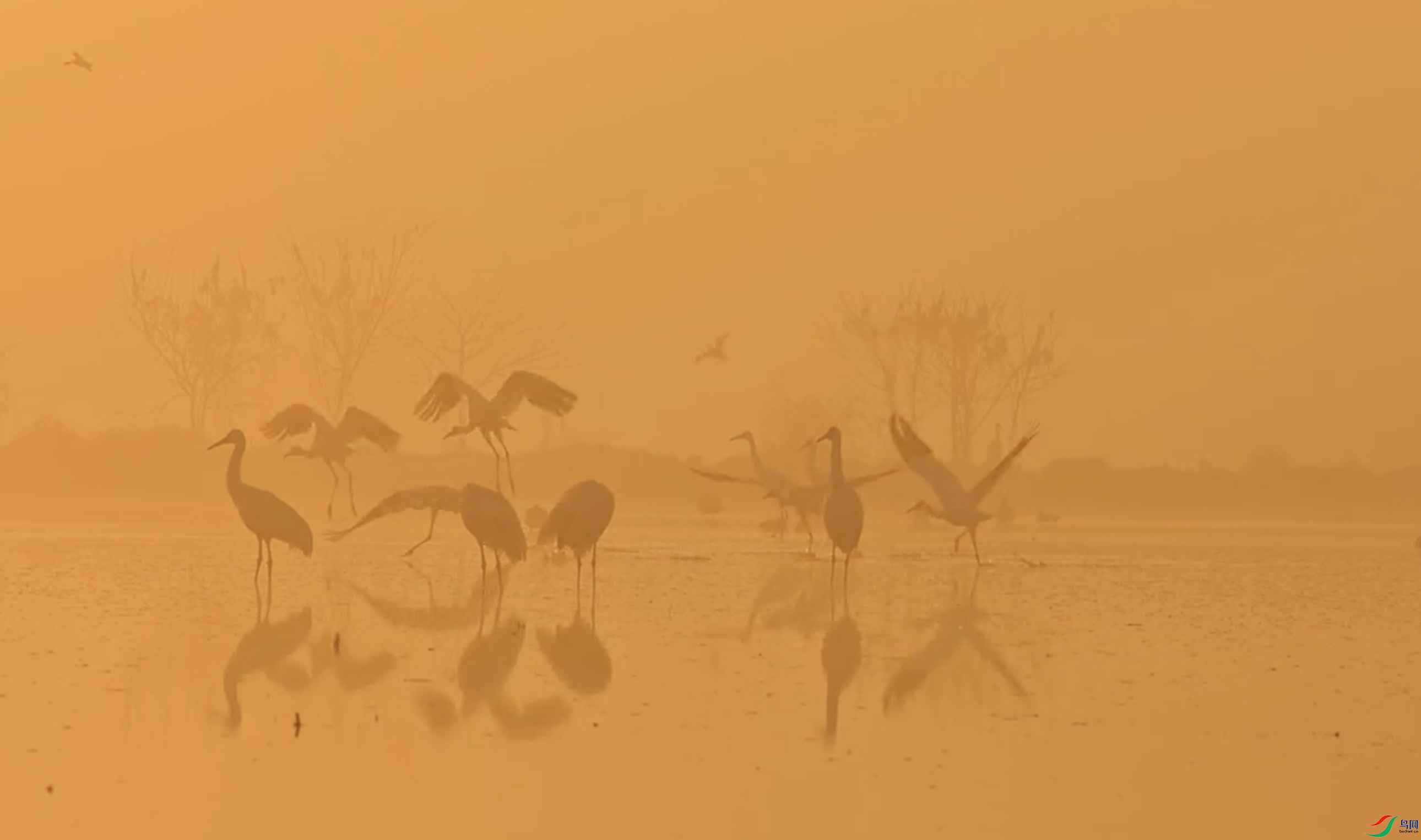 ����2024-07-06 21.53.45.png