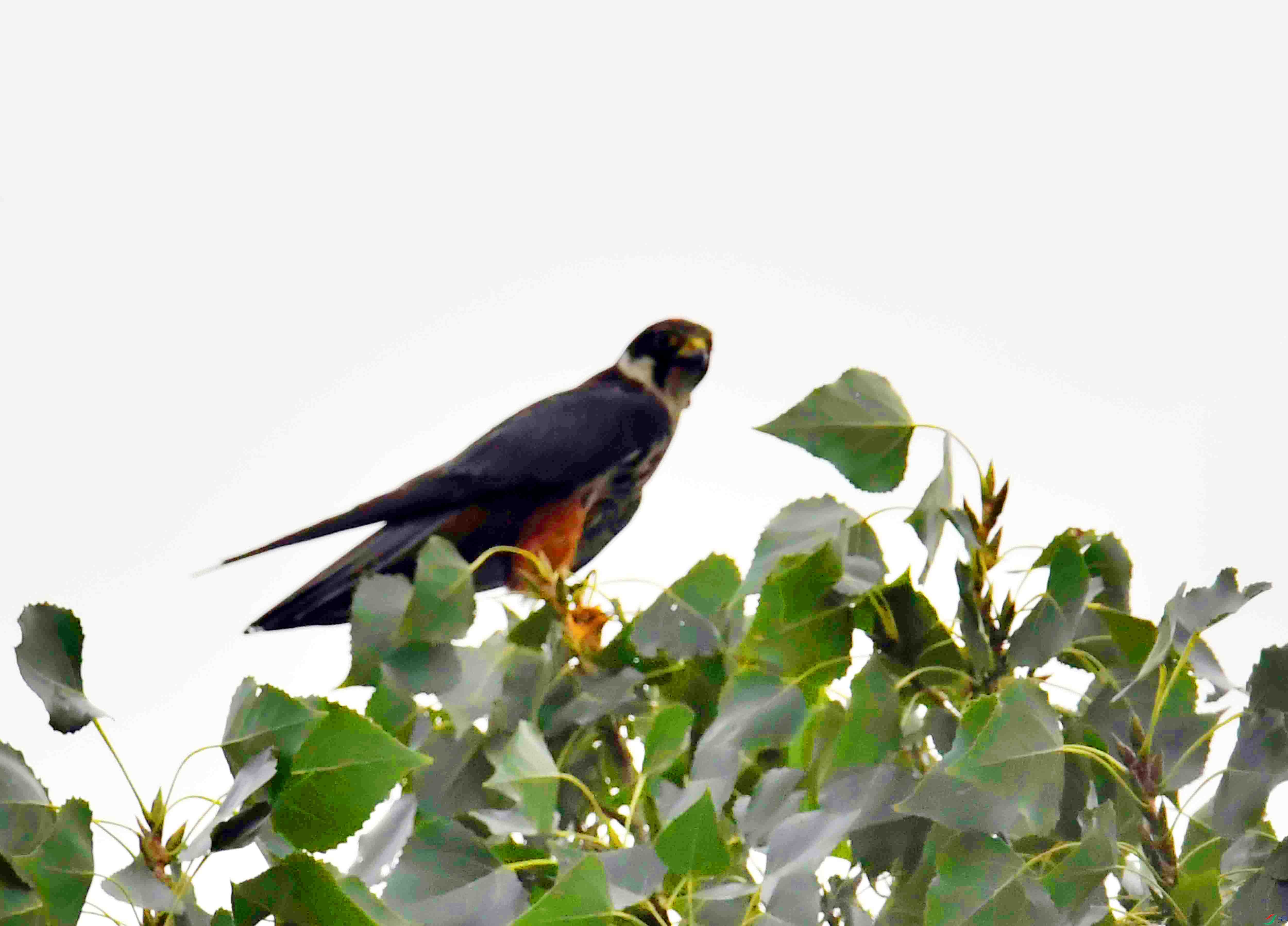 DSC_5403.JPG