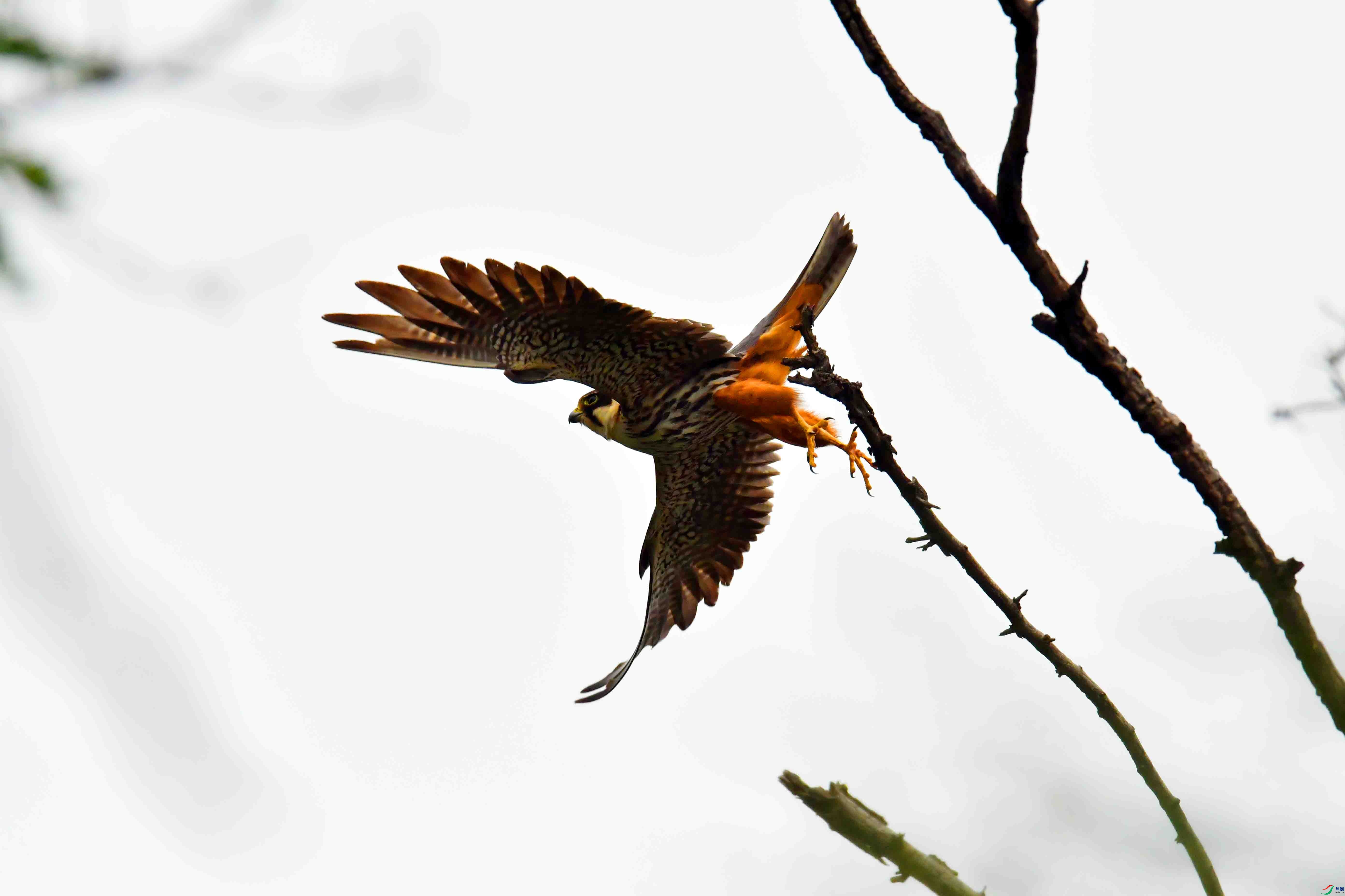 DSC_5448.JPG