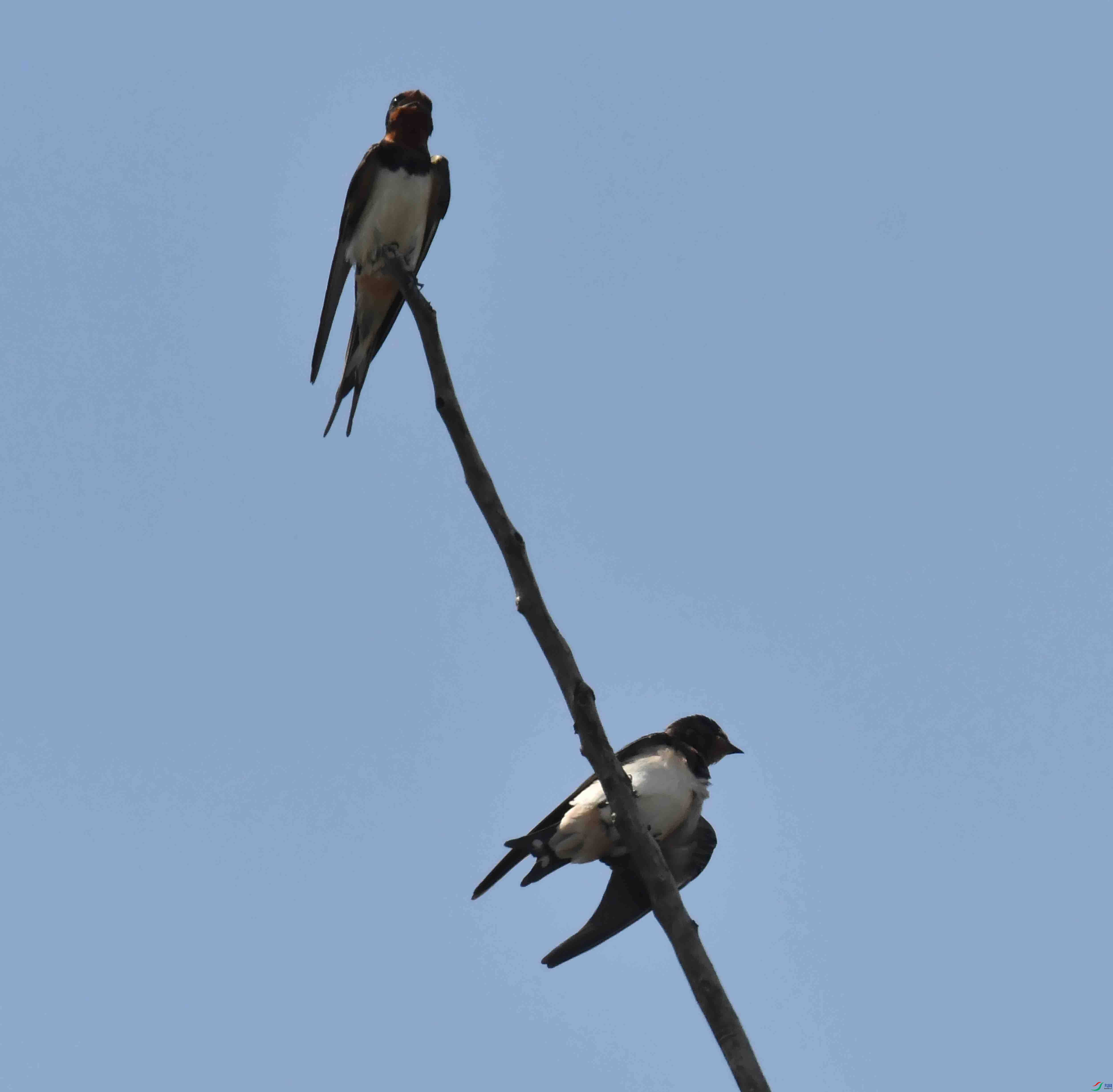 DSC_6513.JPG