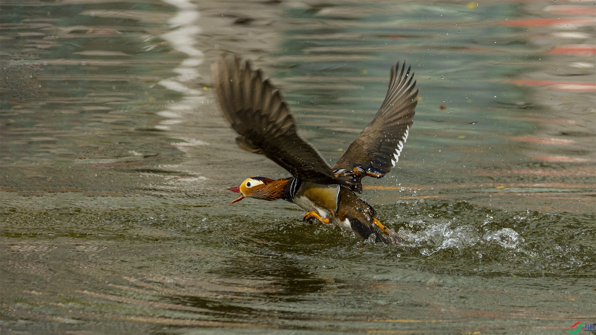 1K3A0224 ����1.jpg