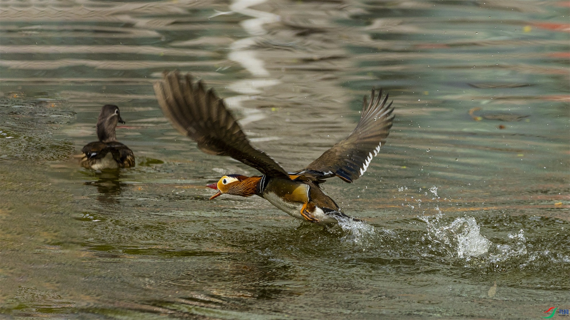 1K3A0226 ����1.jpg