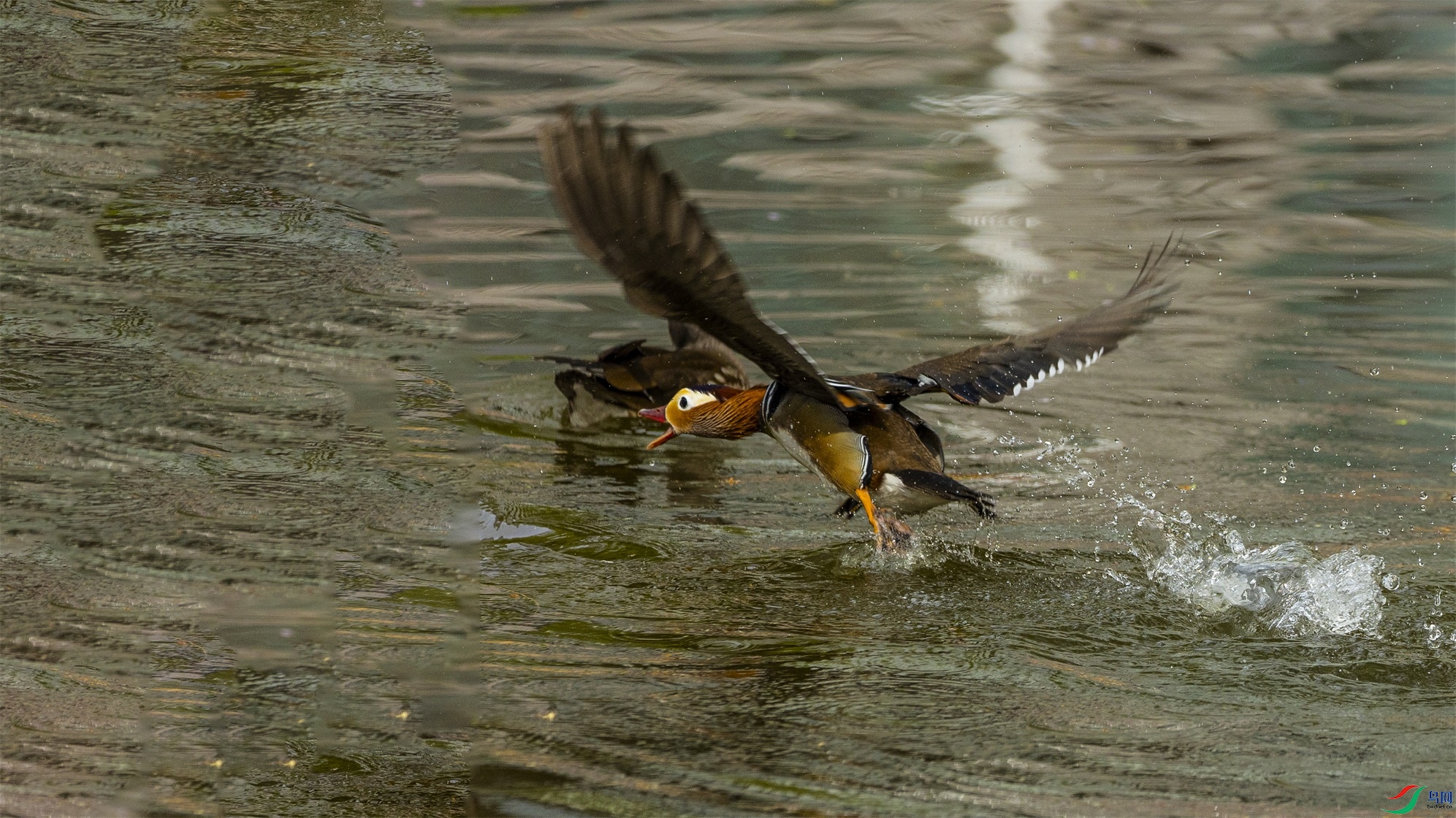 1K3A0228 ����1.jpg