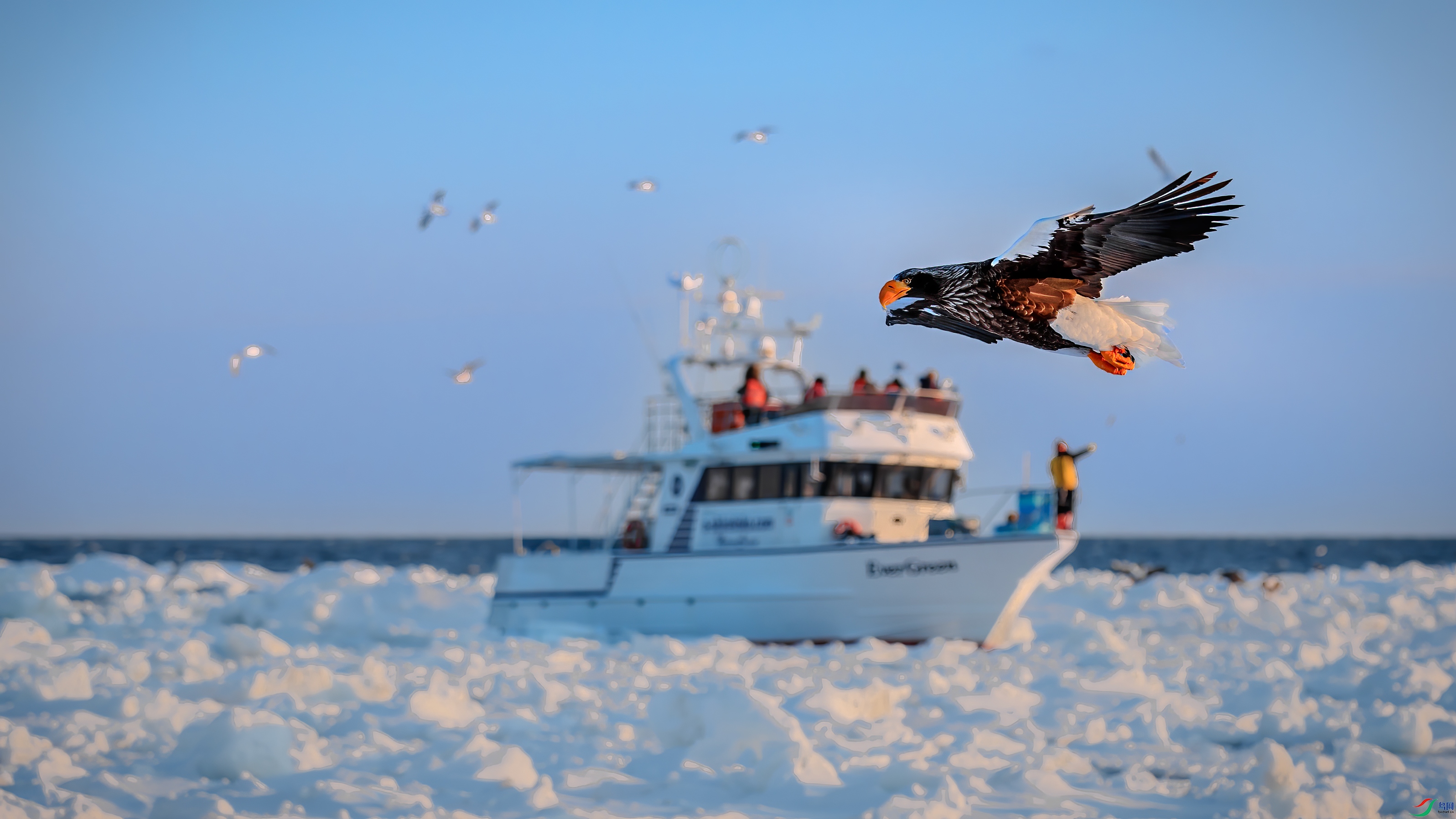 �����ɵ�_M3I0299.jpg