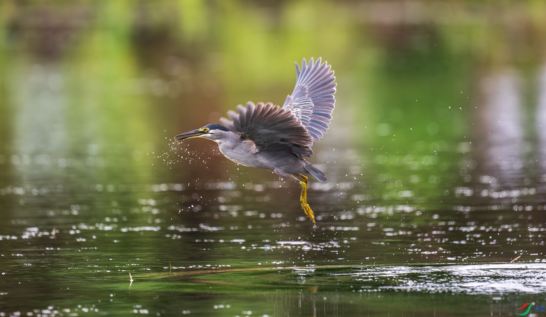 DSC_5144-����ǿ-NR-1.jpg