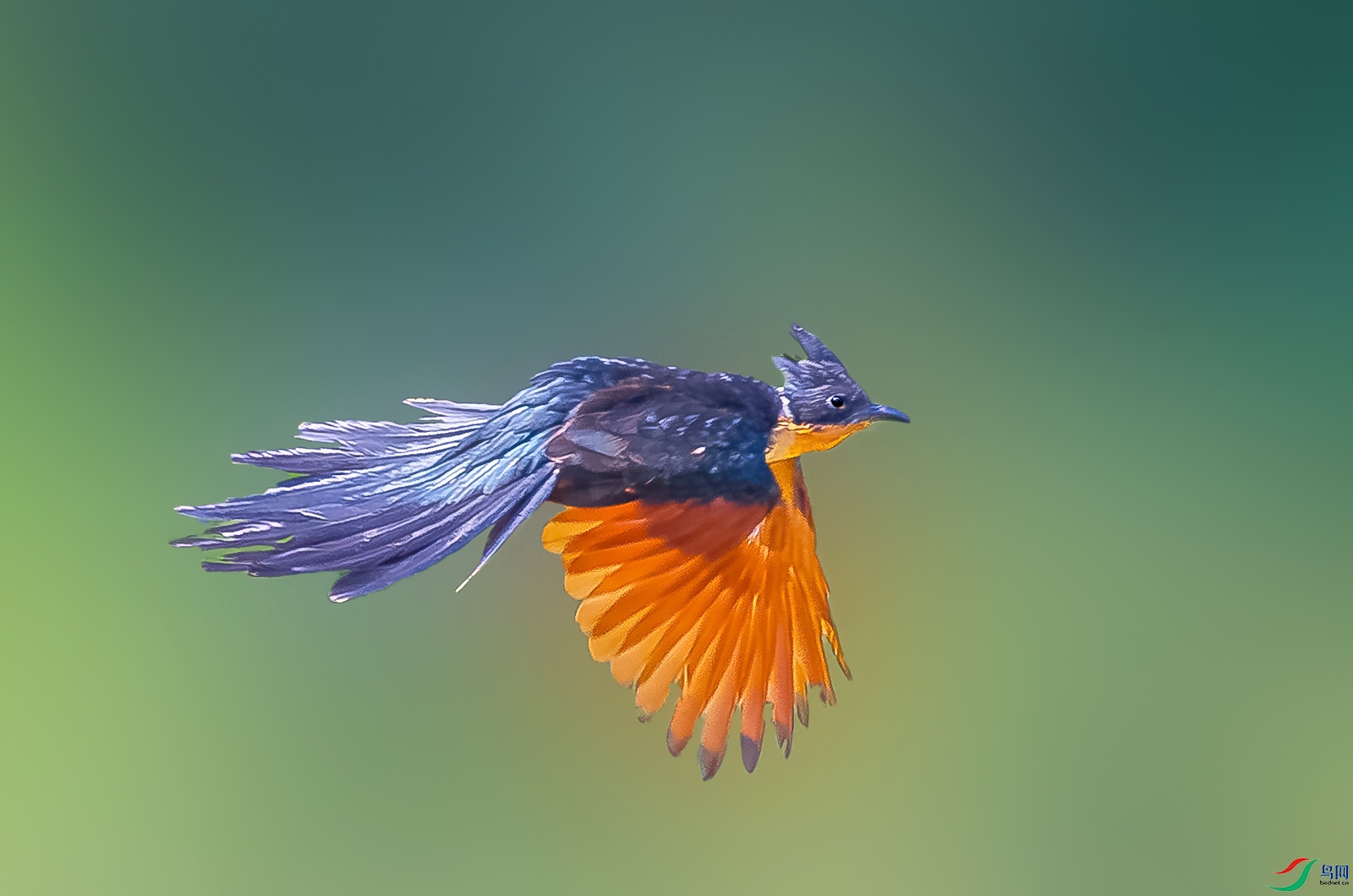 5257 ���� 2.jpg