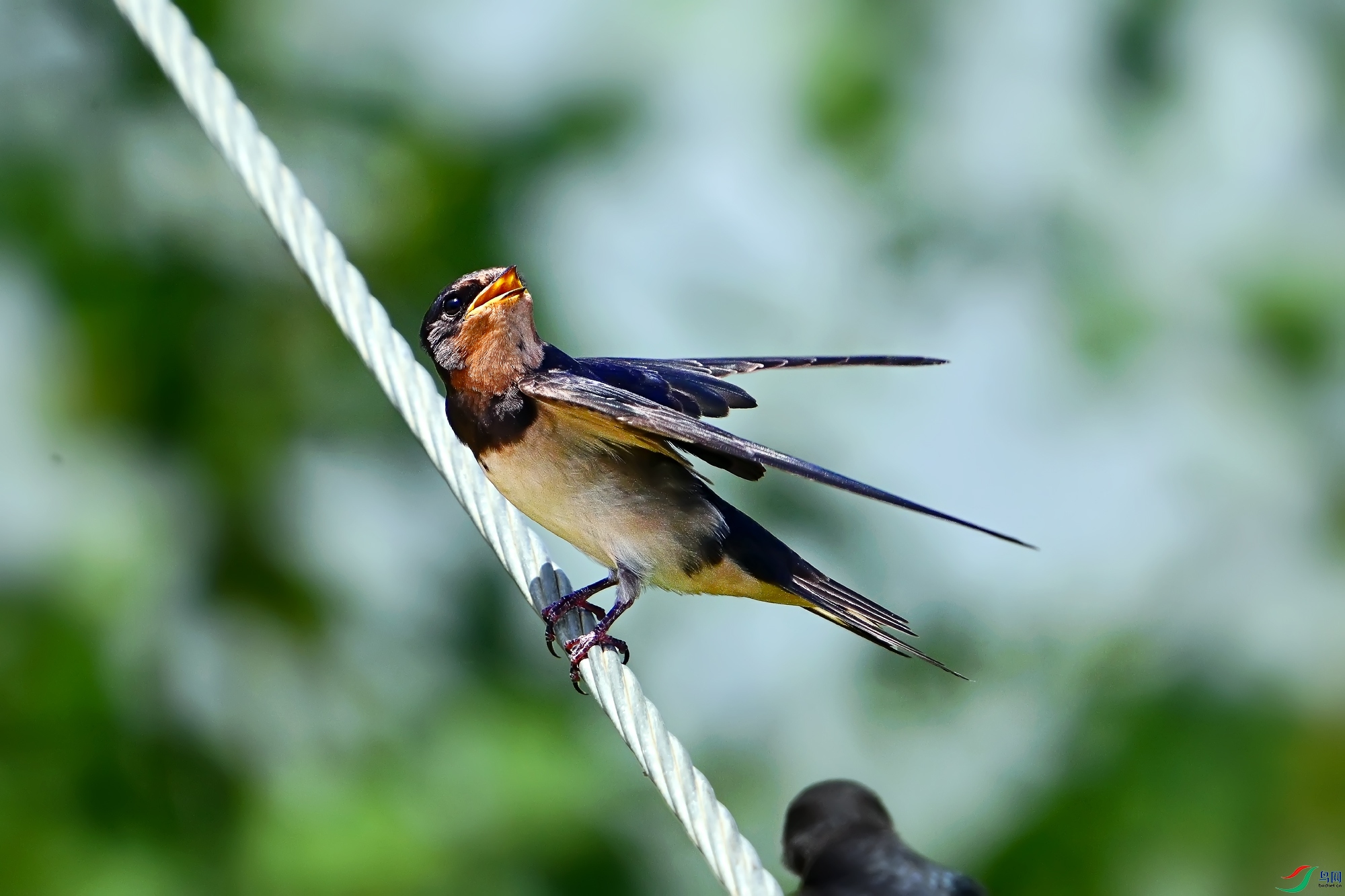 DSC_1251.jpg