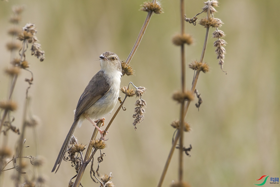 5A7A4120 ���� 2.jpg