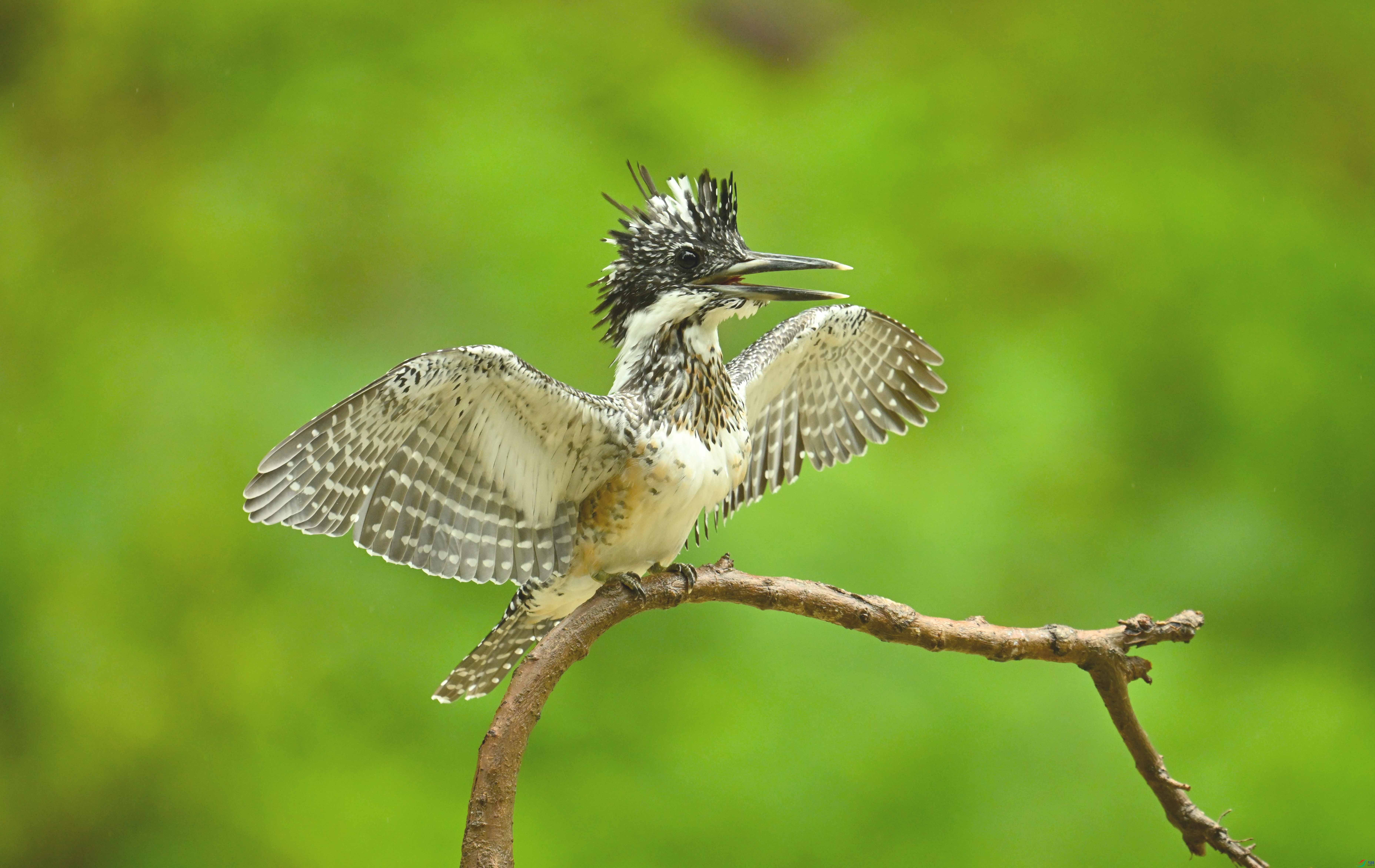 DSC_5661 ����.jpg