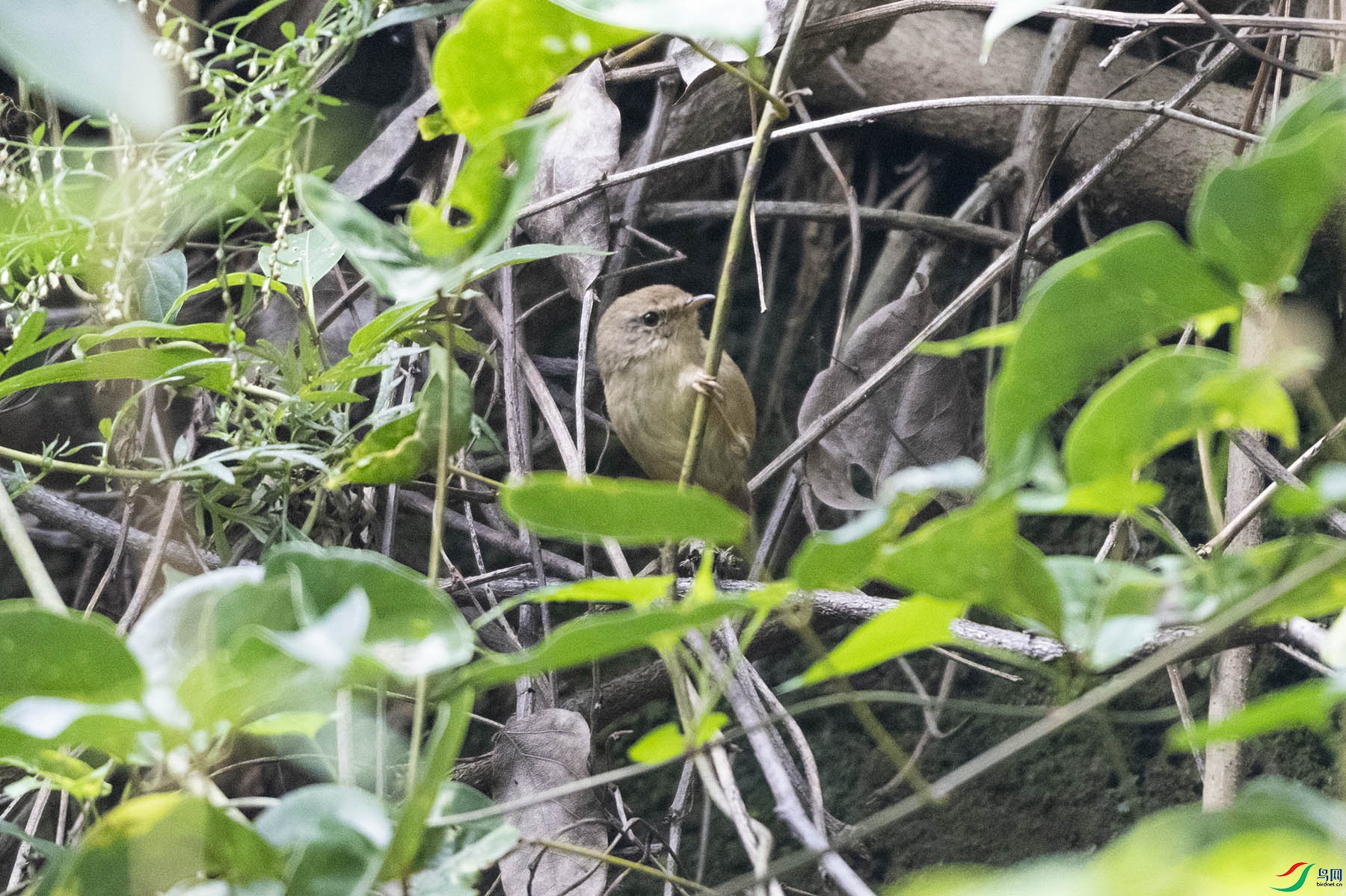 δ֪_����_20180829_2035.jpg
