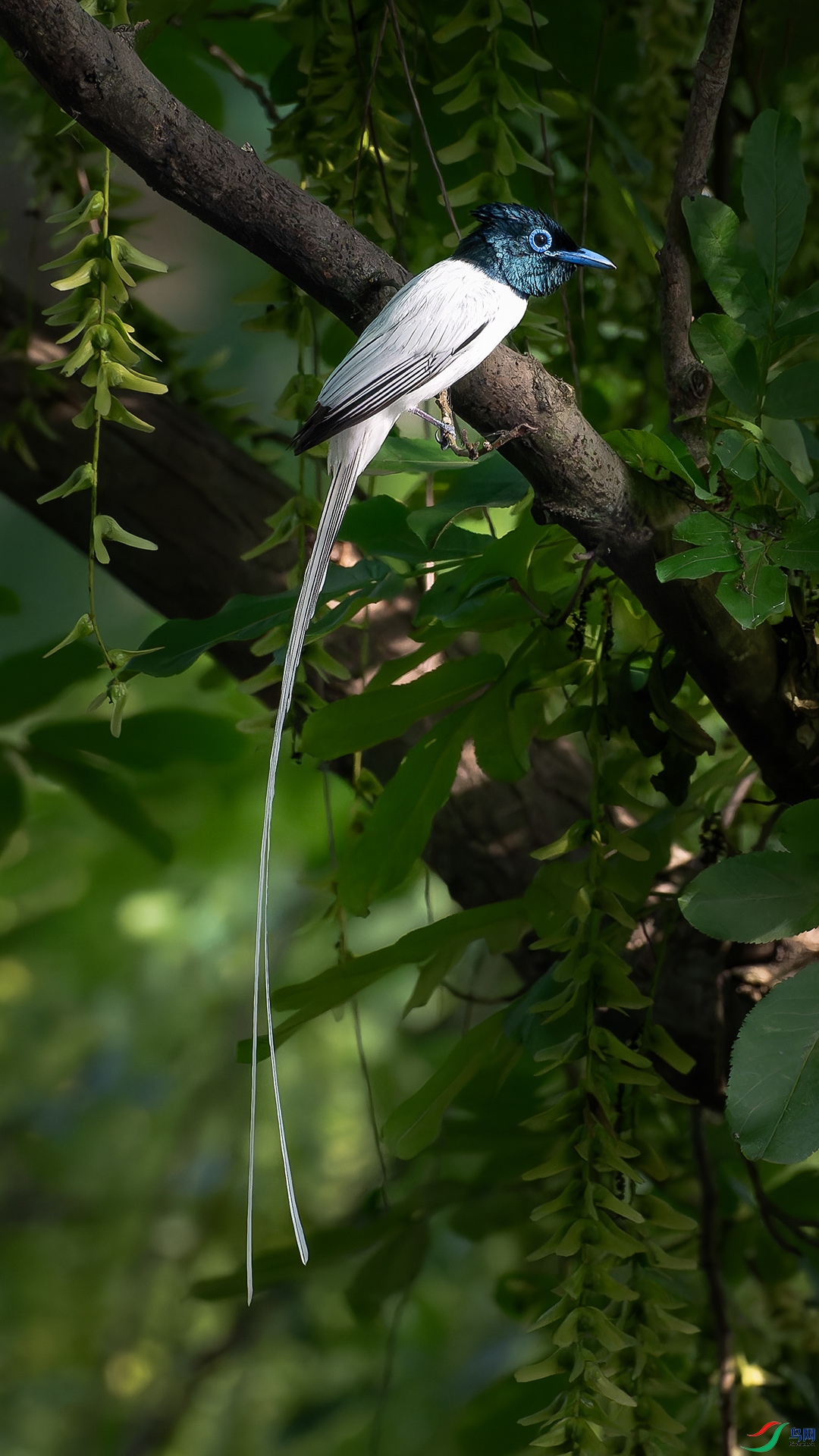 DSC_6953.jpg