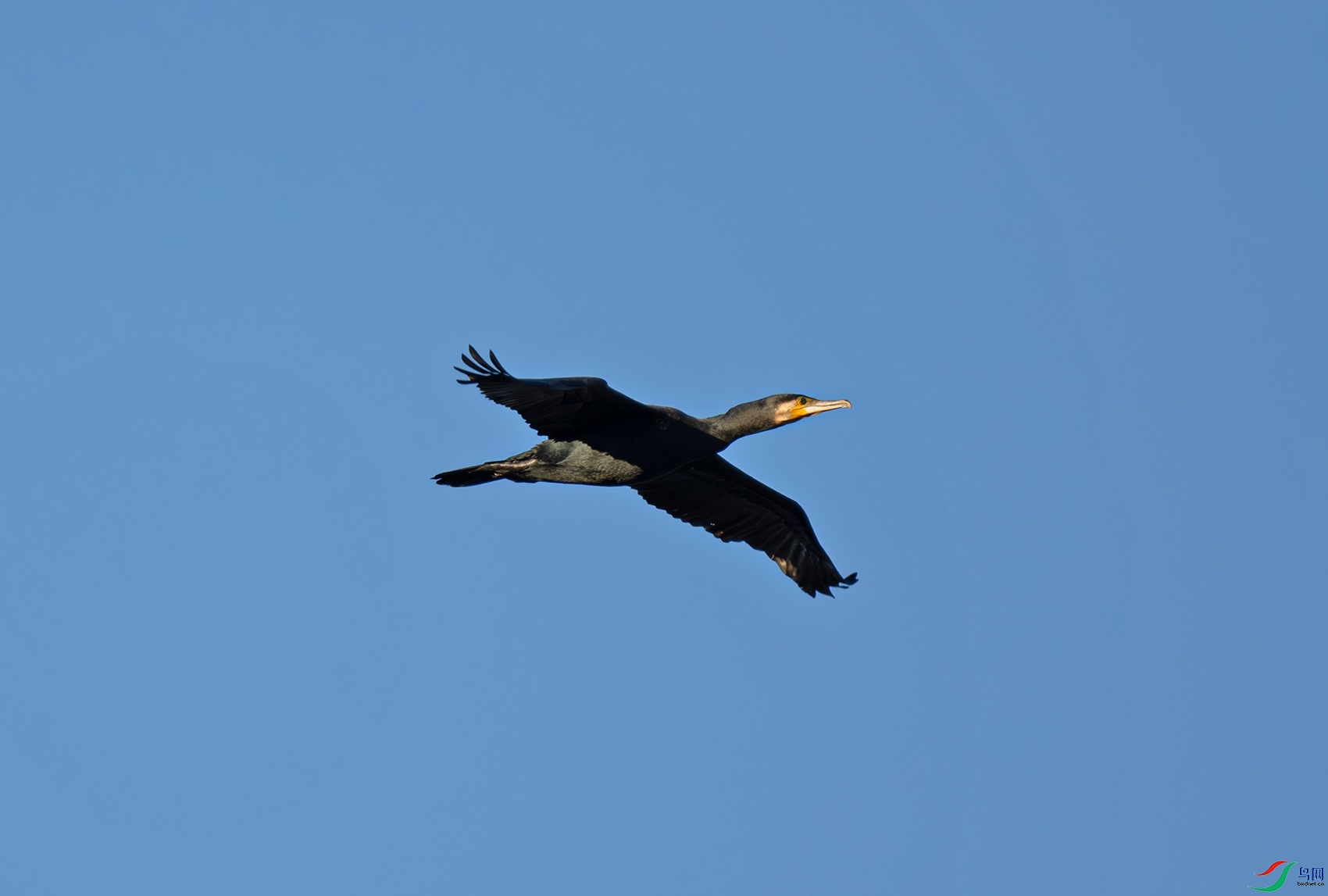 _DSC6267f2.jpg