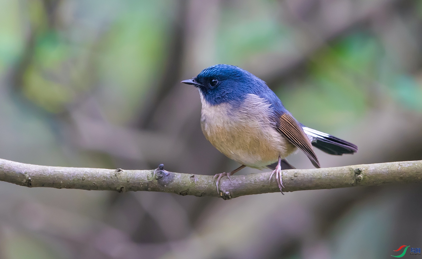 DSC_14071.jpg