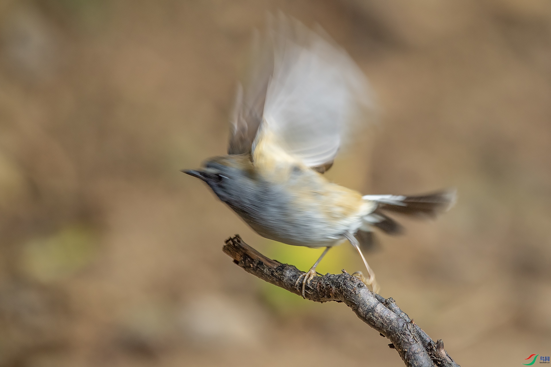 DSC_0438.jpg