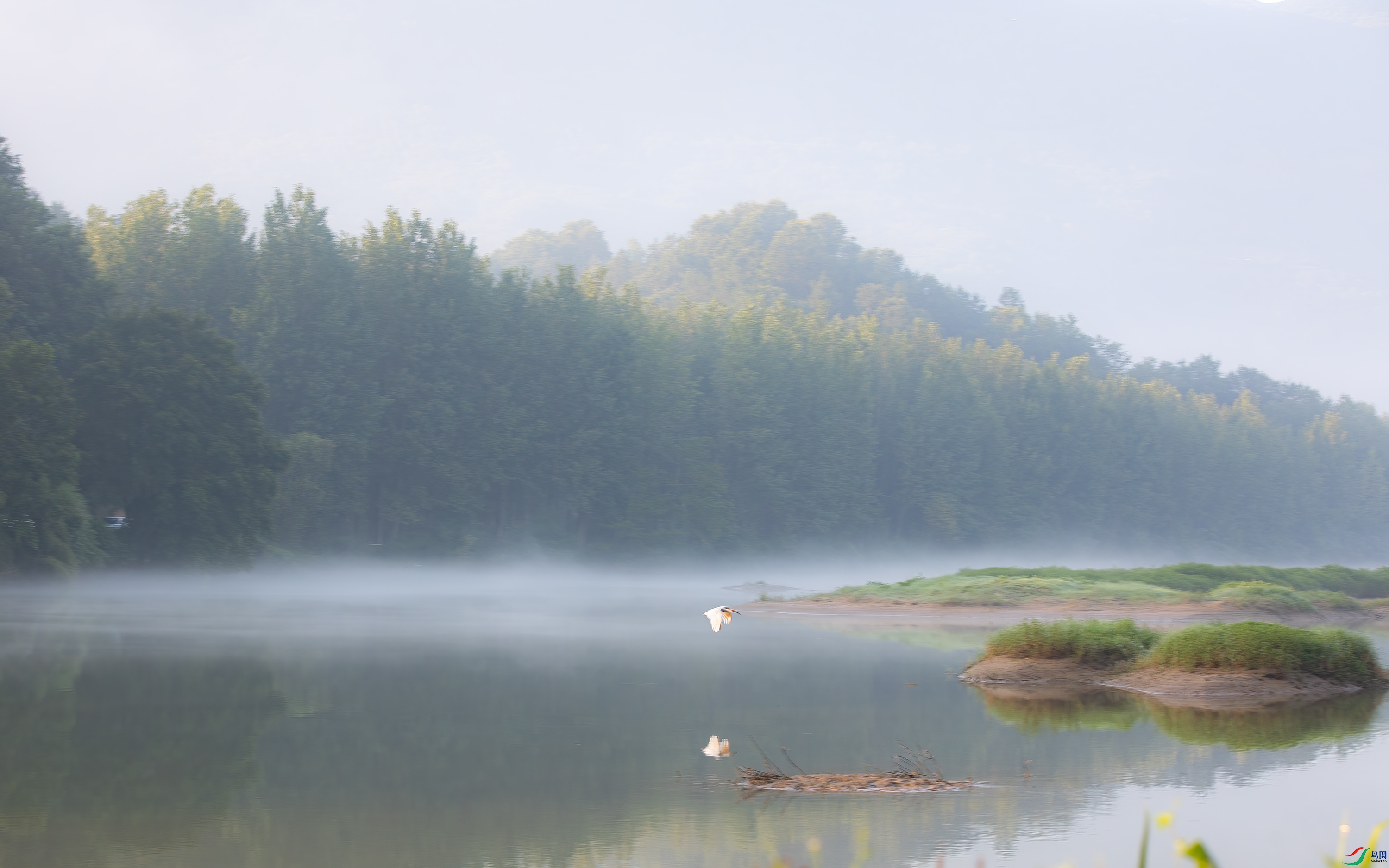 3S5A4786 ����213.jpg