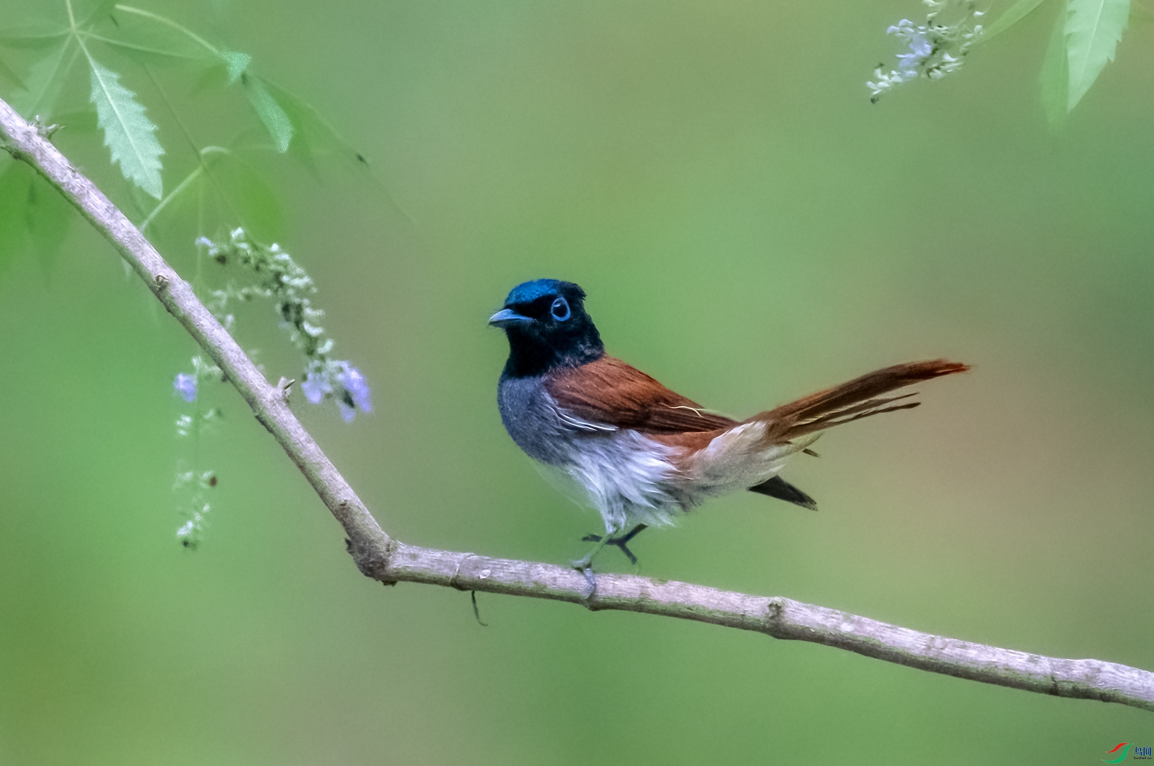 DSC_3148.jpg