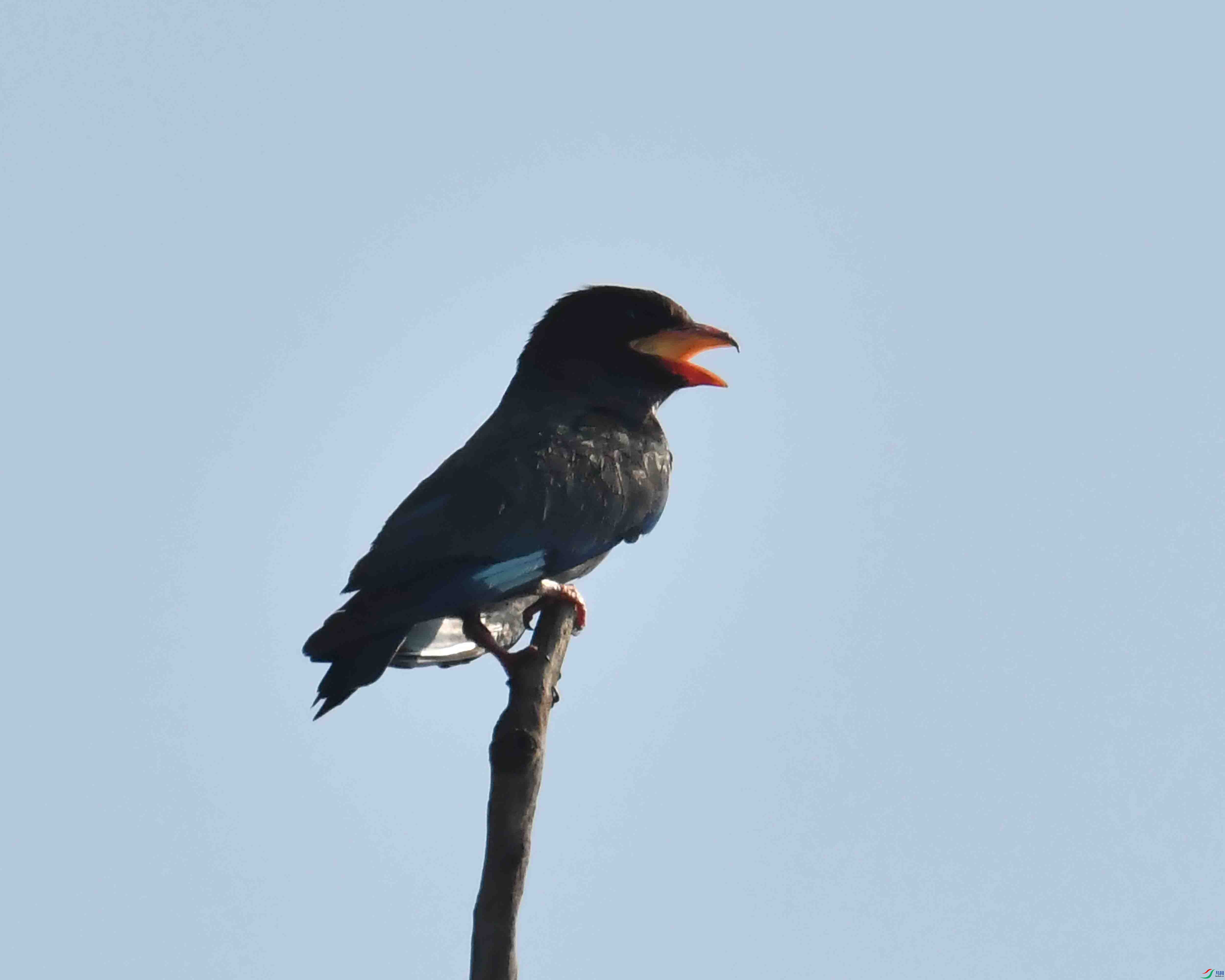 DSC_3622.JPG