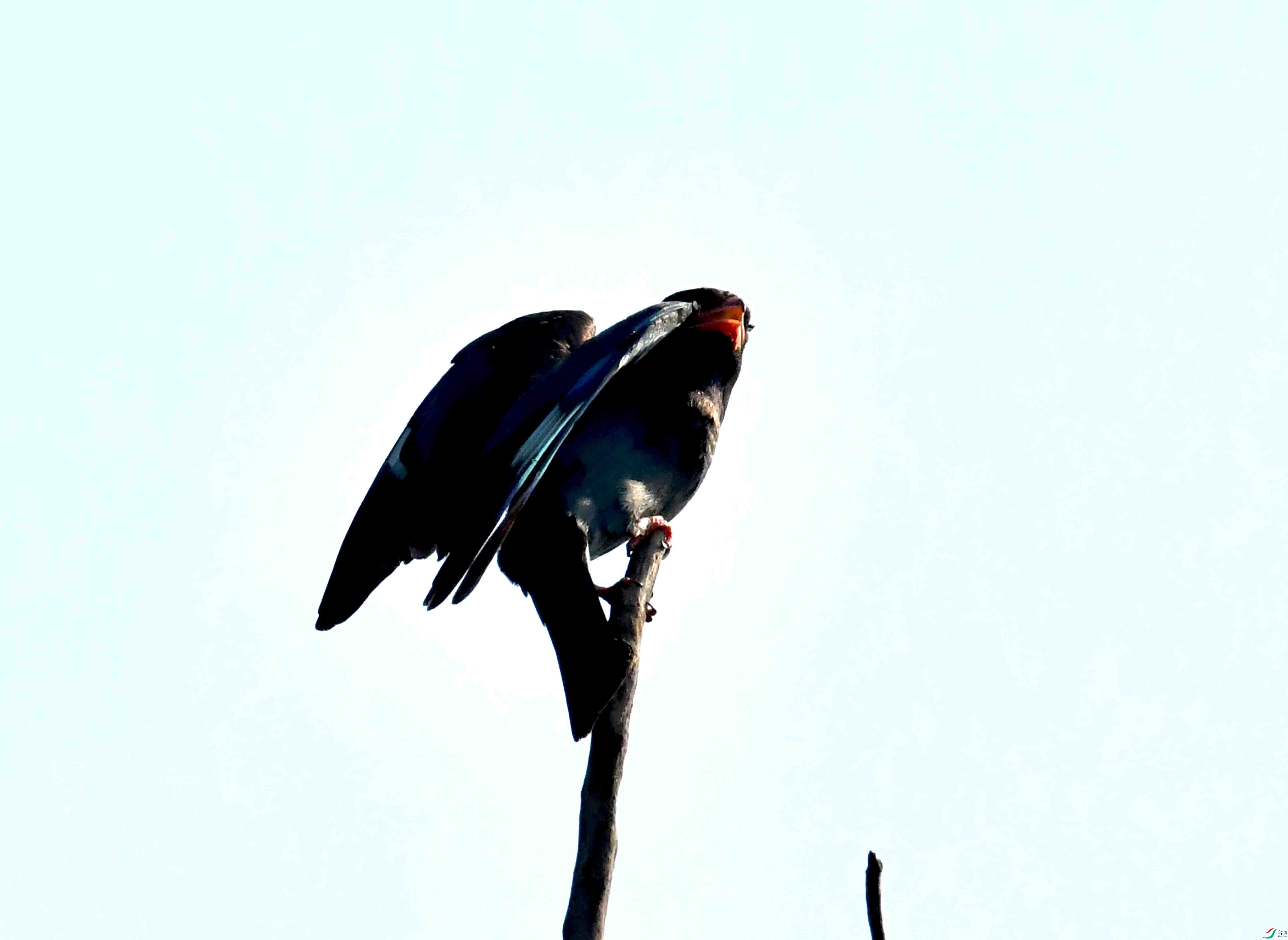 DSC_3625.JPG