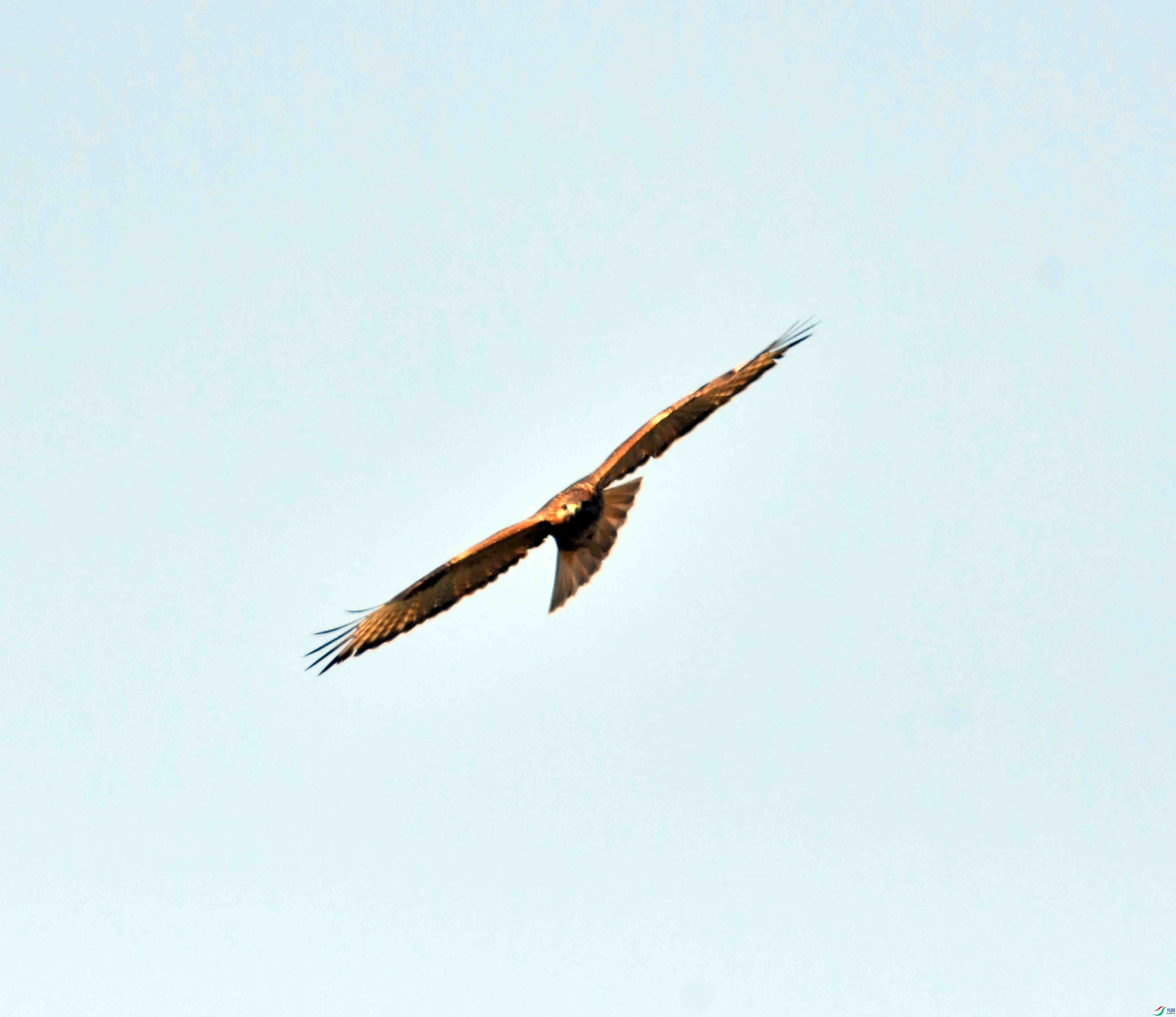 DSC_0563.JPG