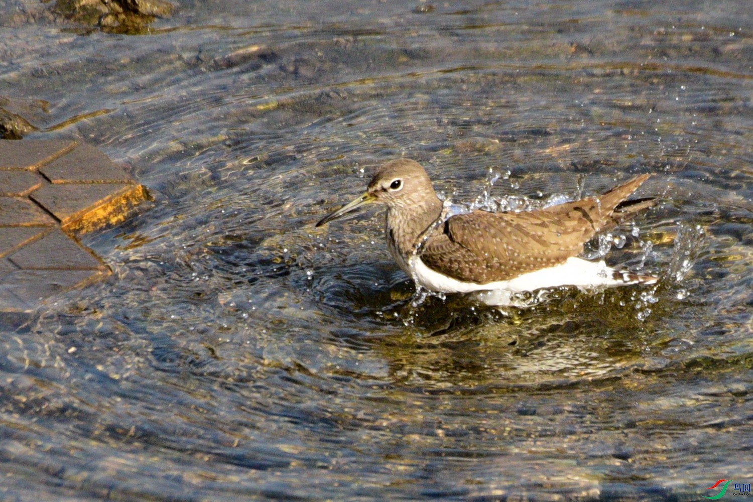 DSC_3268.JPG