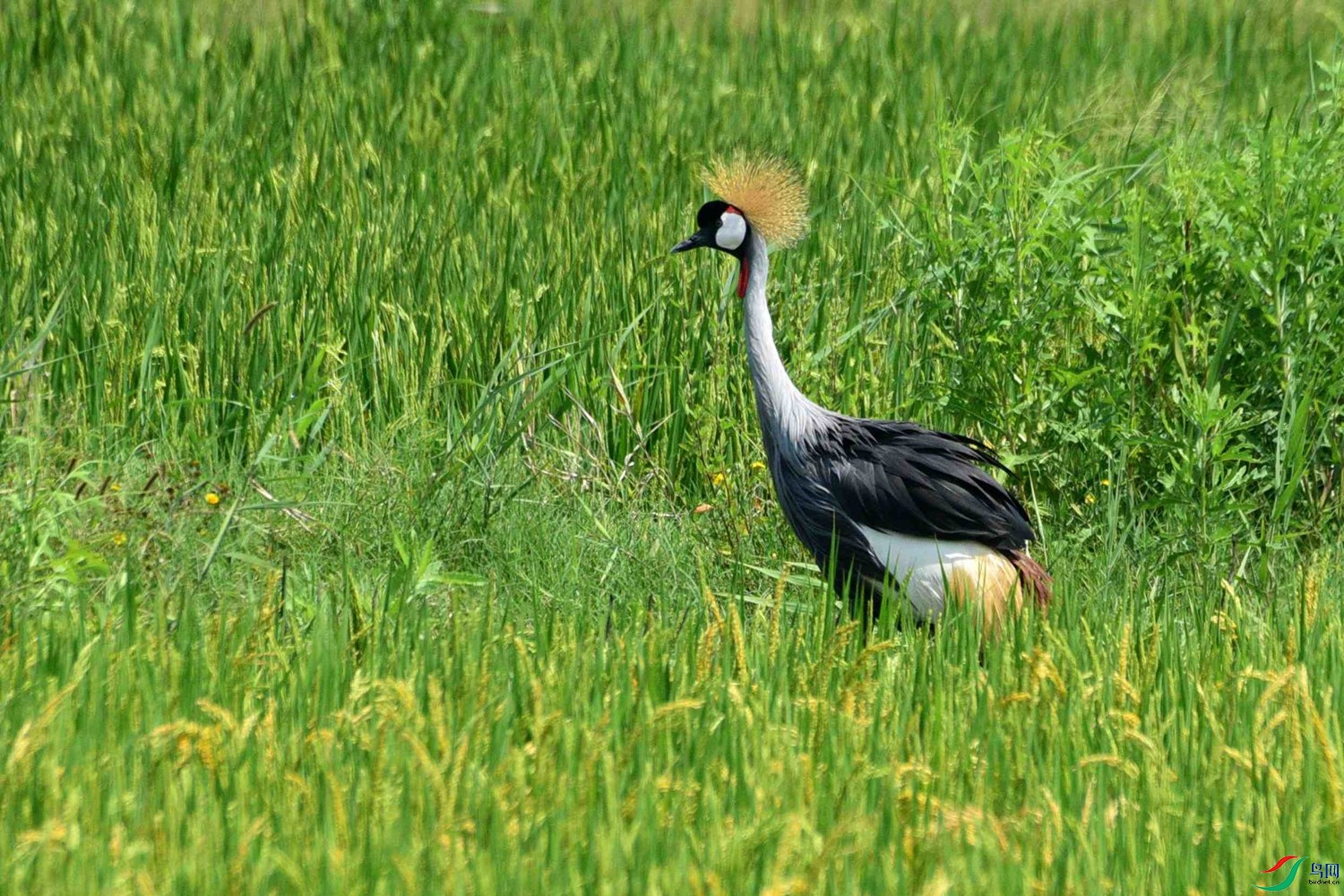 DSC_5175.JPG