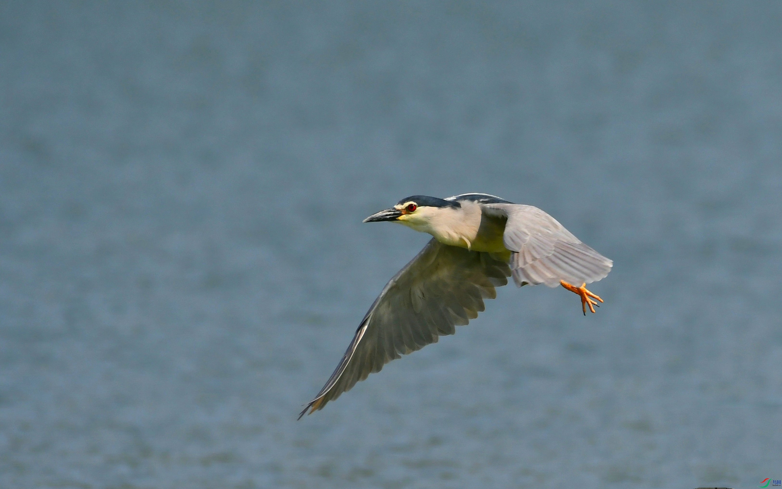 DSC_5922.JPG