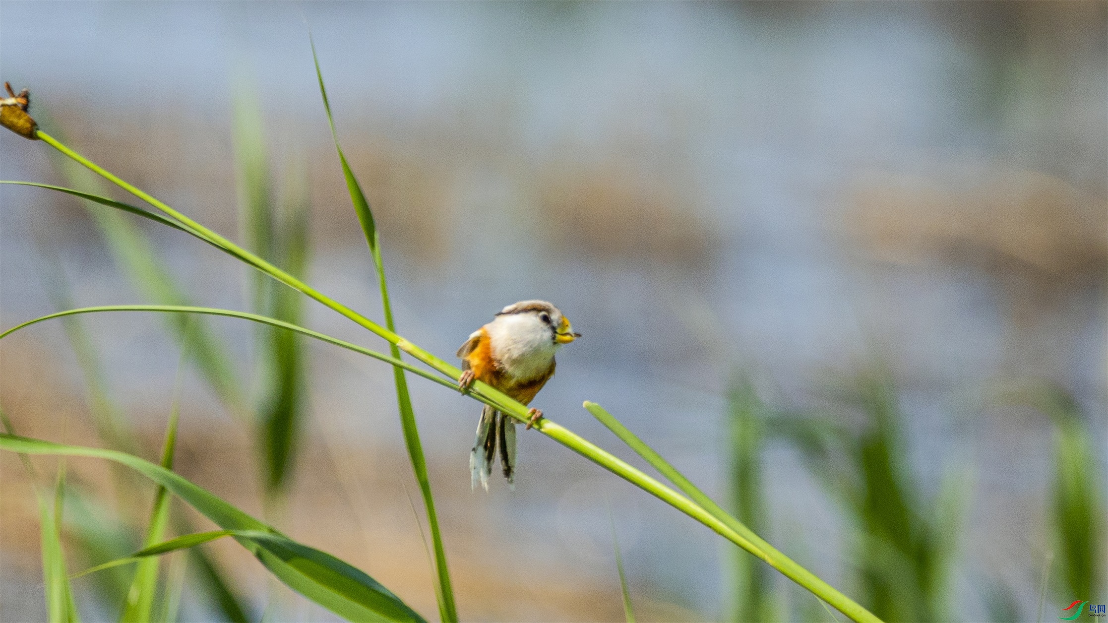 1K3A3527 ����1.jpg