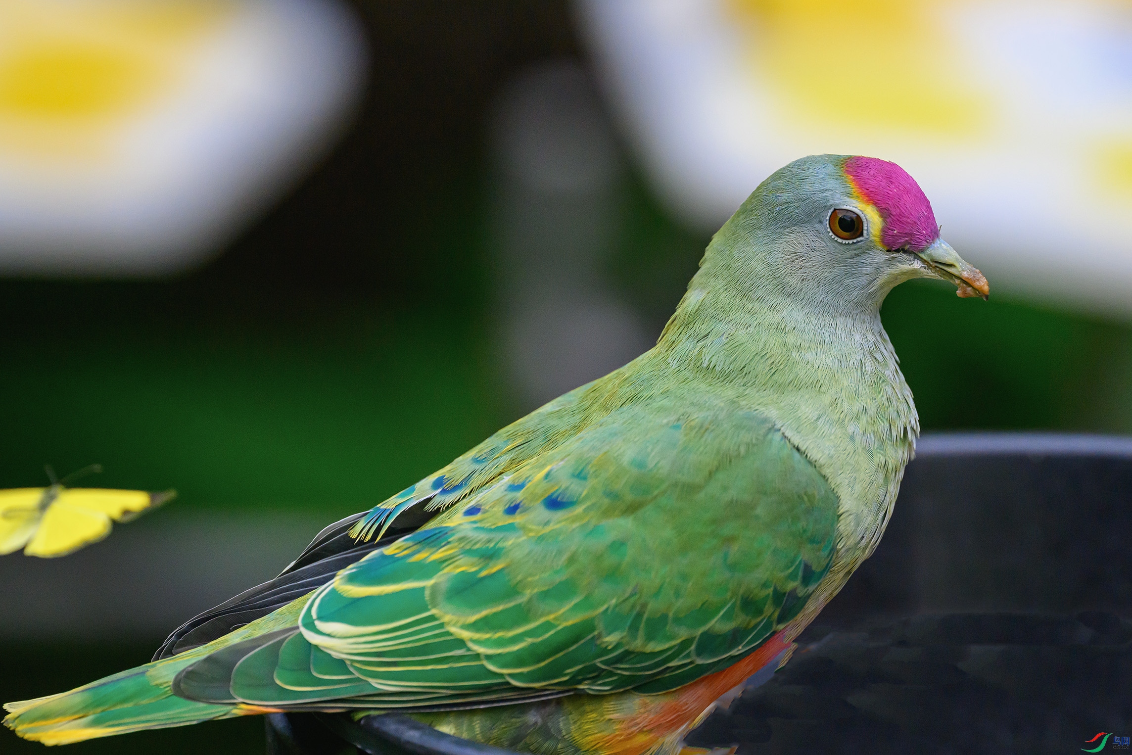 _DSC1231 ���� 2.jpg