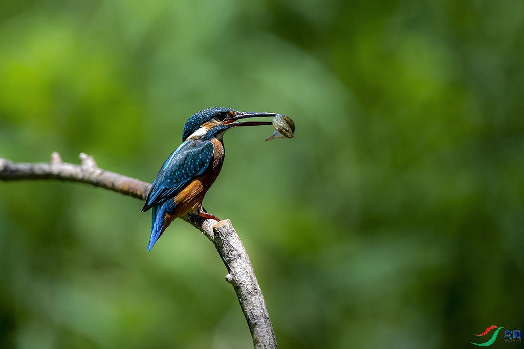 DSC_5516 - ����.jpg