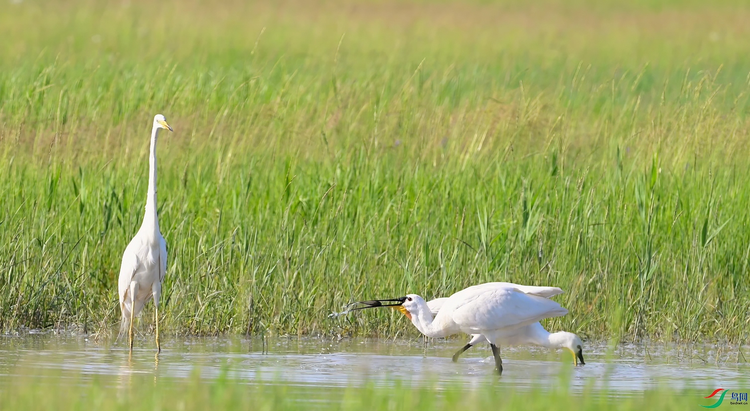 ʪ�ص�����