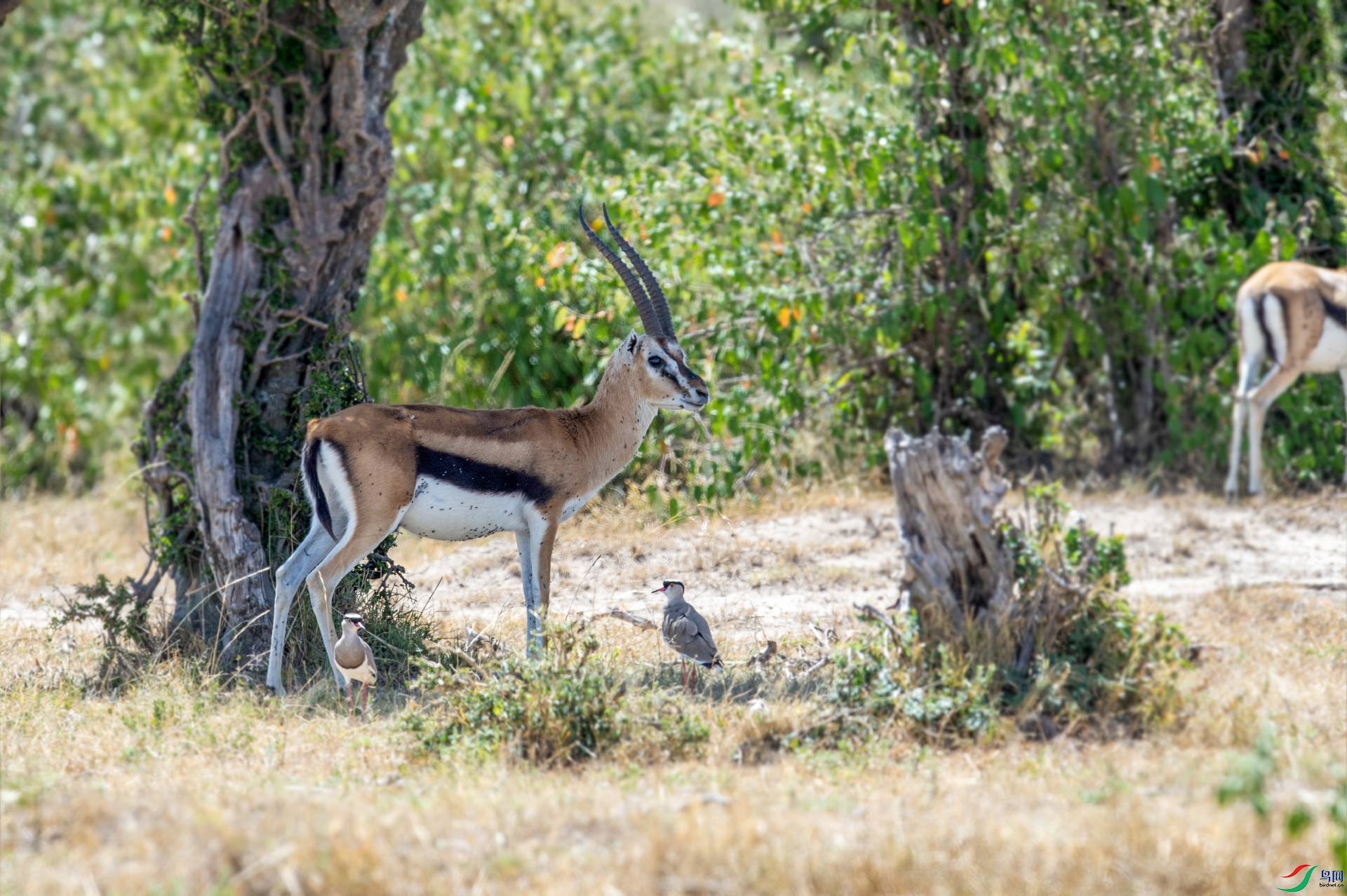 DSC_8620 ���� 2.jpg