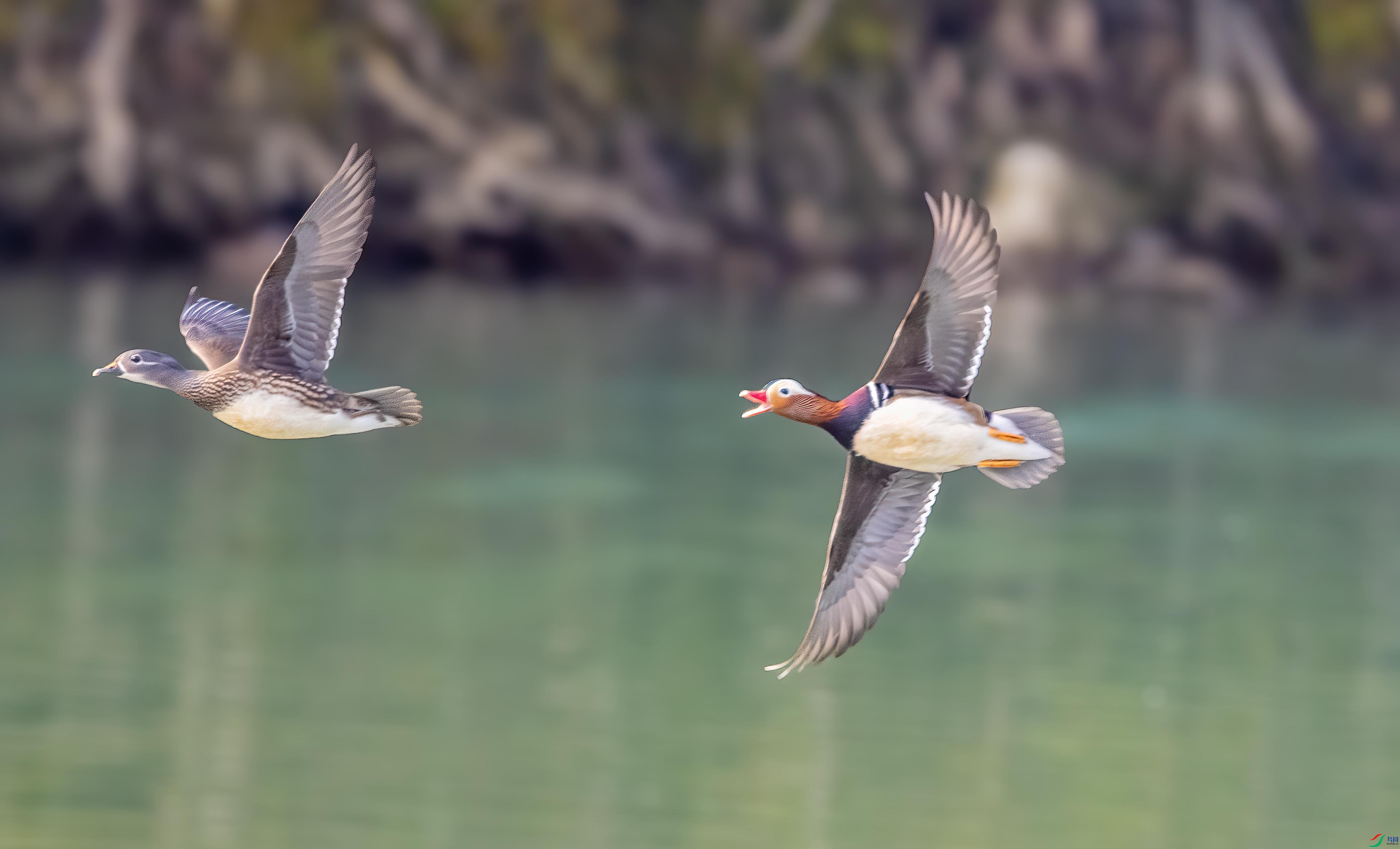 DSC_3639 ����.jpg