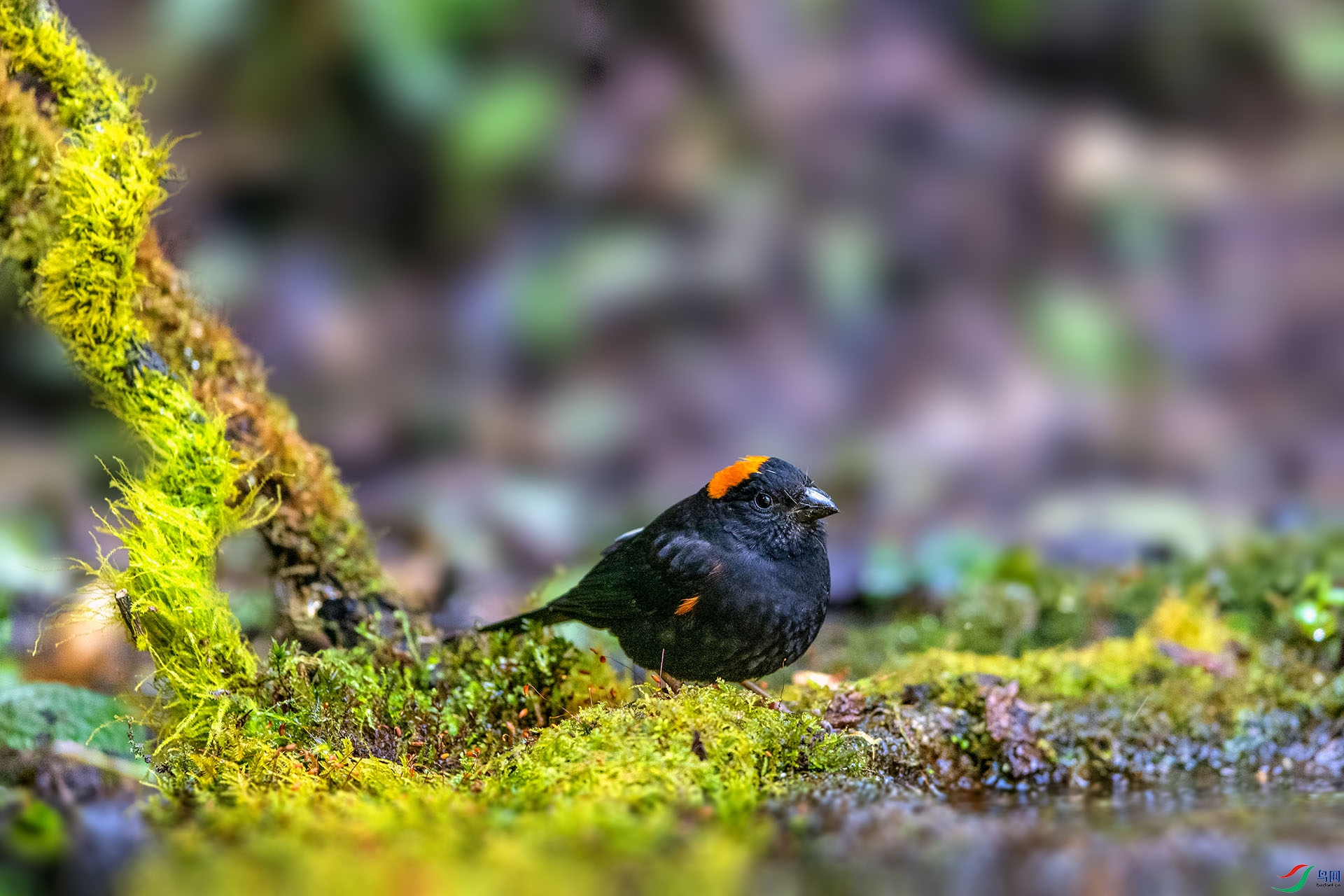 ��_AUU5207��������ȸ(24.2.18)-1.jpg