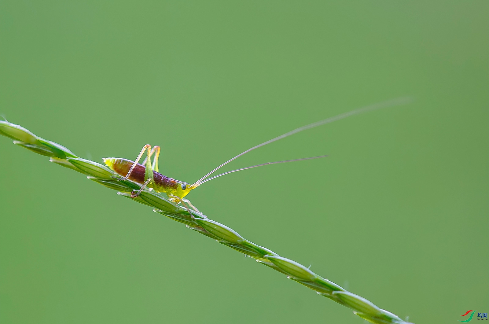 7255- ����.jpg