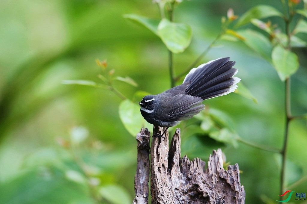 ���� IMGL0193.JPG