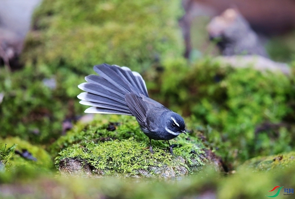 ���� IMGL7969.JPG