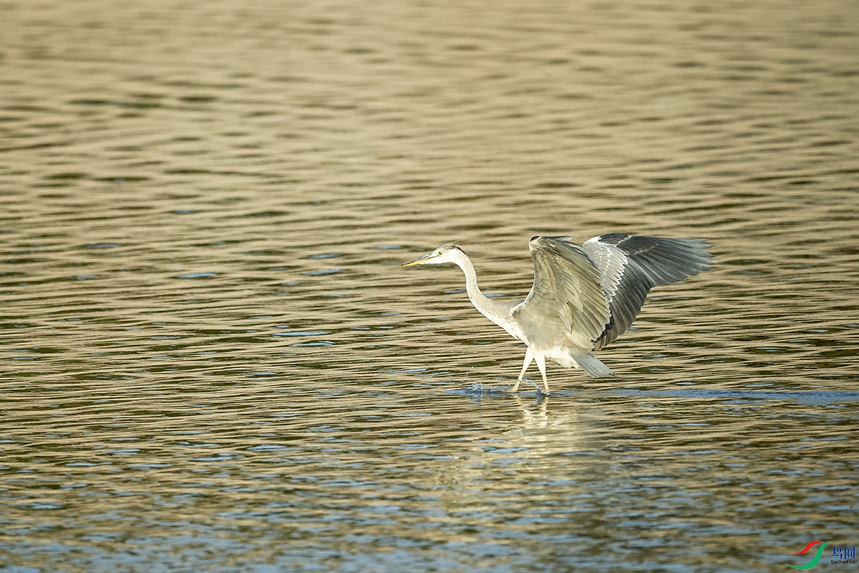 _DSC7906.jpg