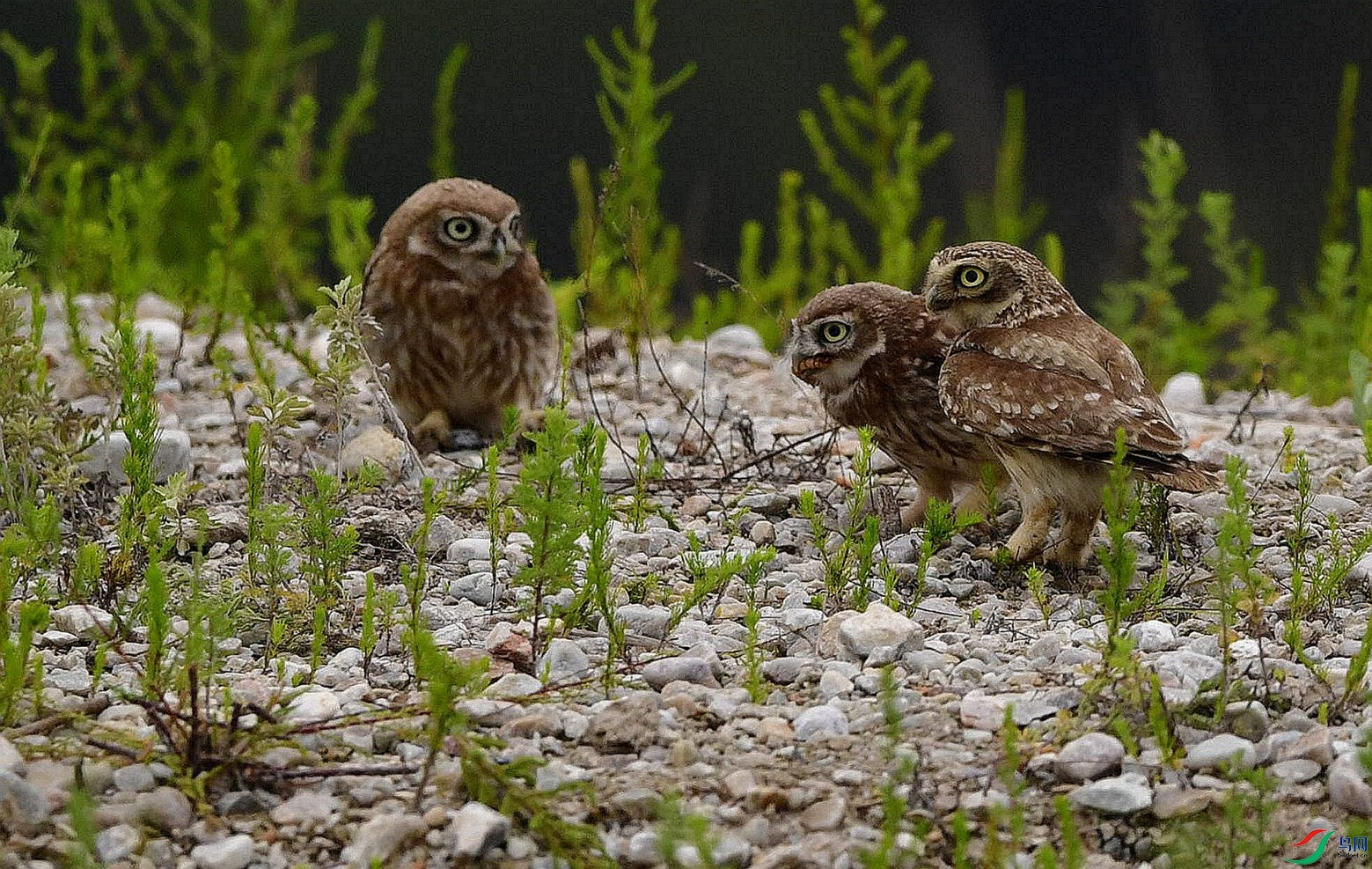 �²�˭�ǰְ֡�