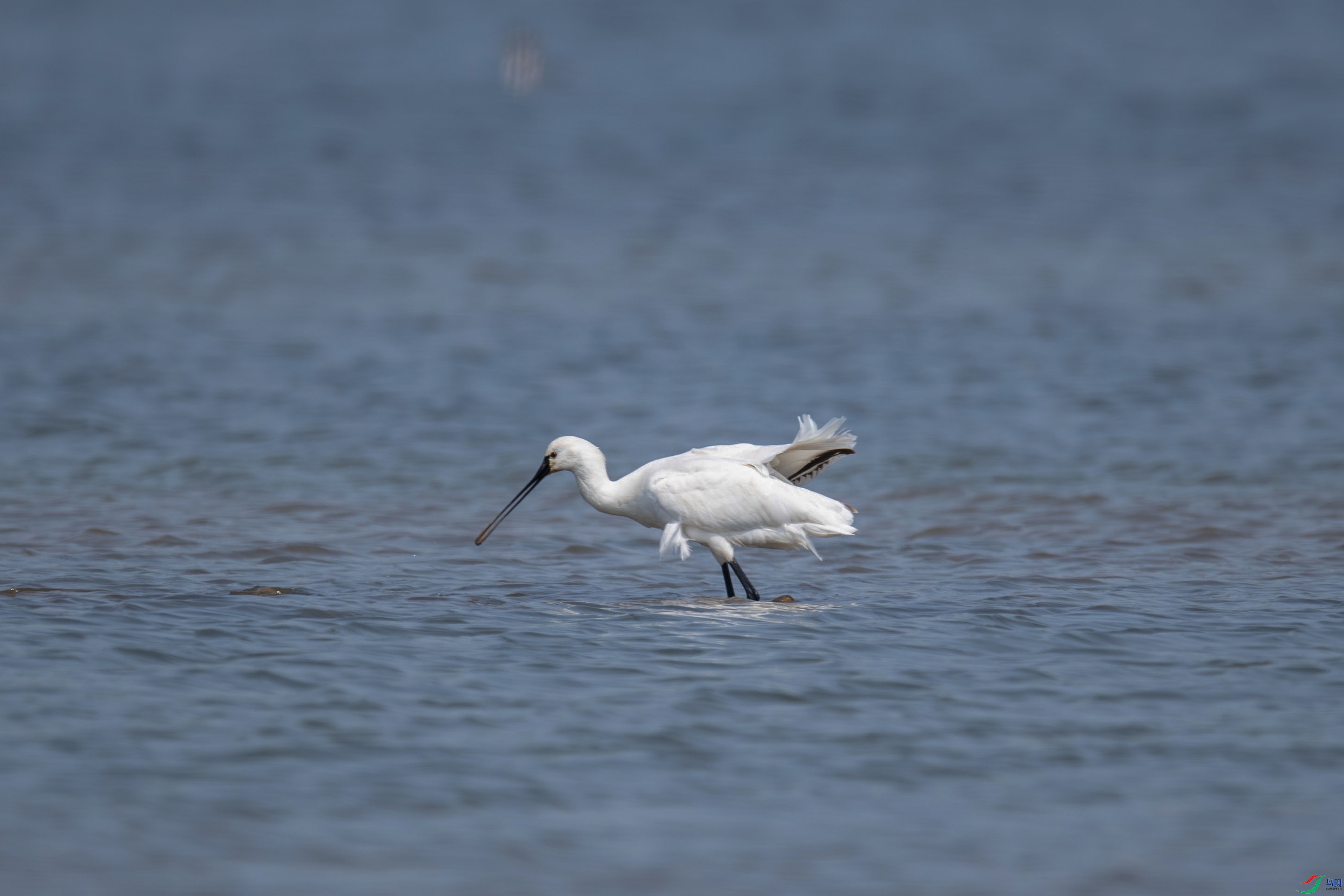 DSC_6840.jpg