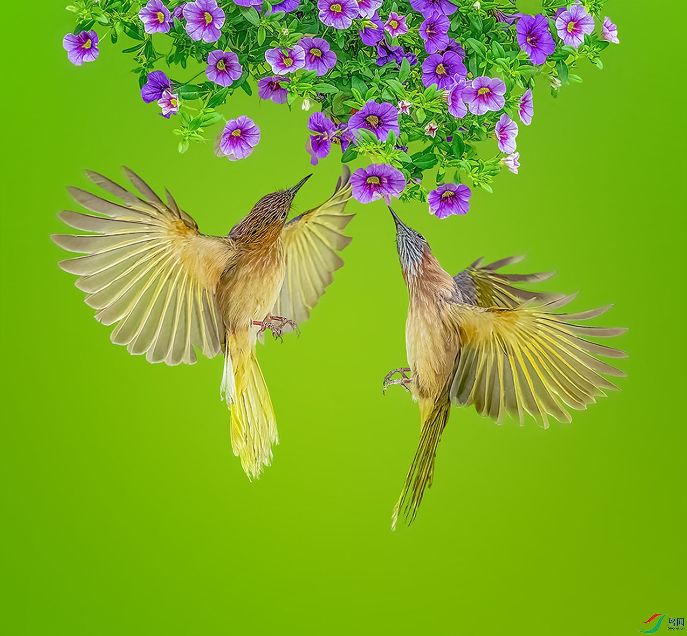 ��ȡ���裡