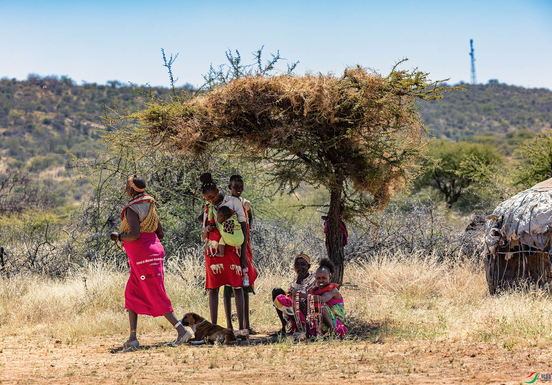 547A3564-����ǿ-NR ���� 2.jpg