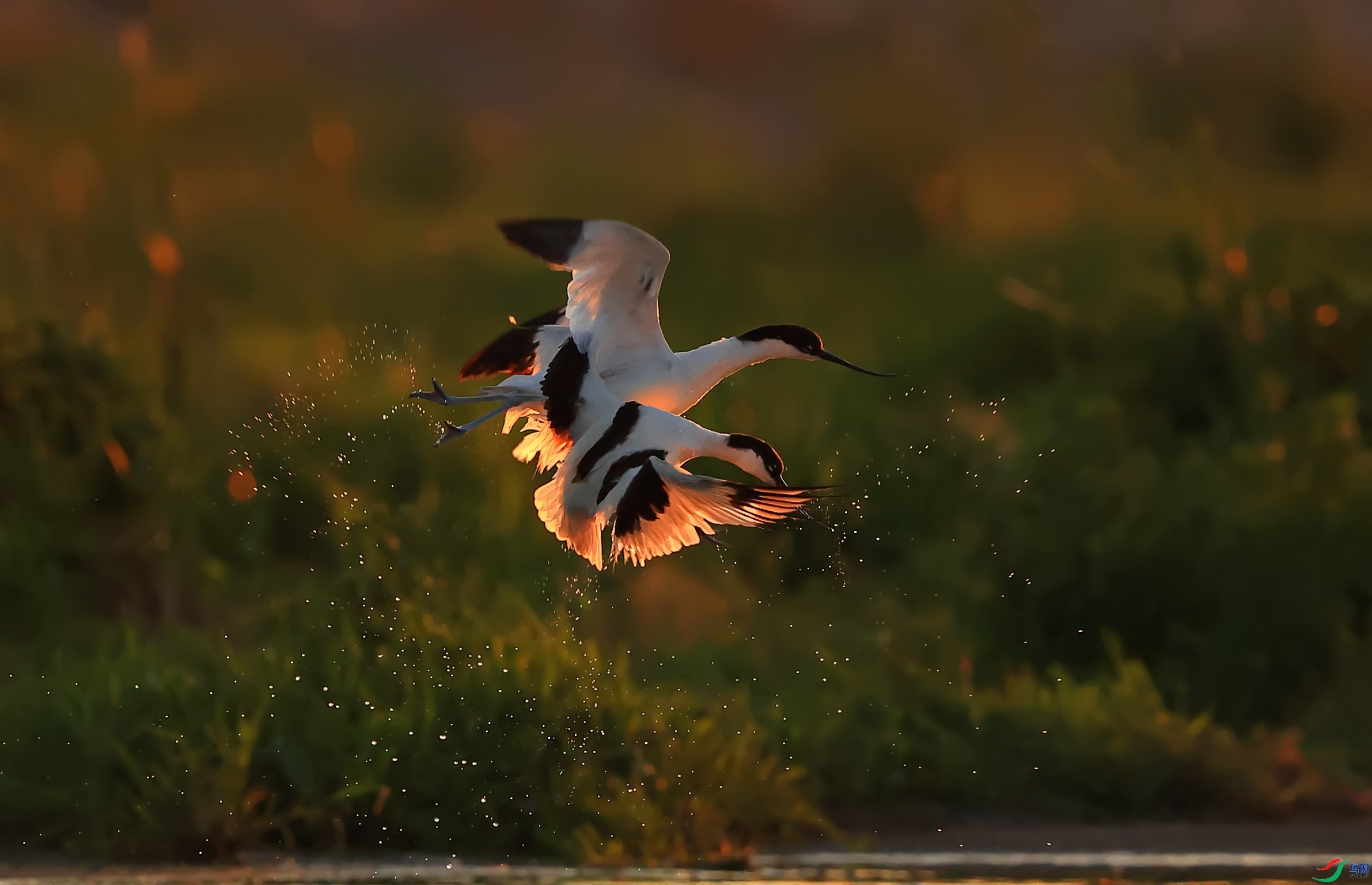 ÿ��һͼ ս���ڻƻ� ���� ��Ұ ��һ.jpg