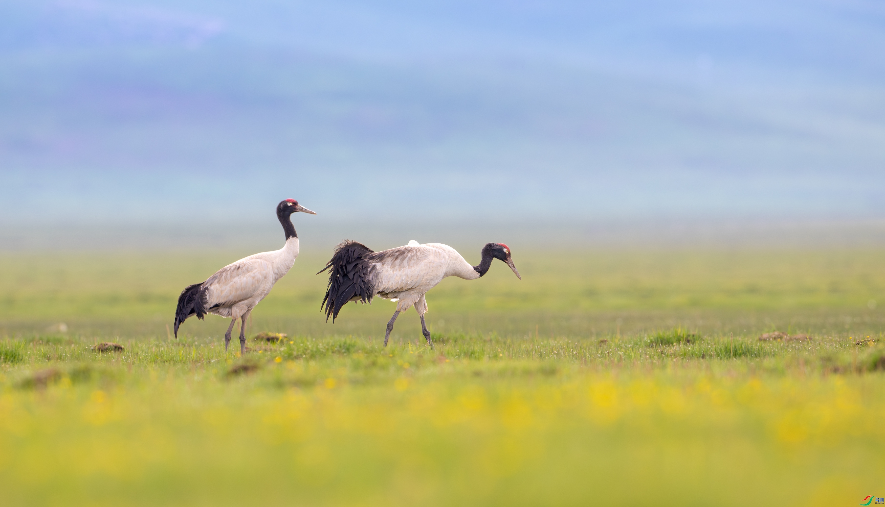 �ھ��� ���� ��Ͽ֮�� �ܶ�.jpg