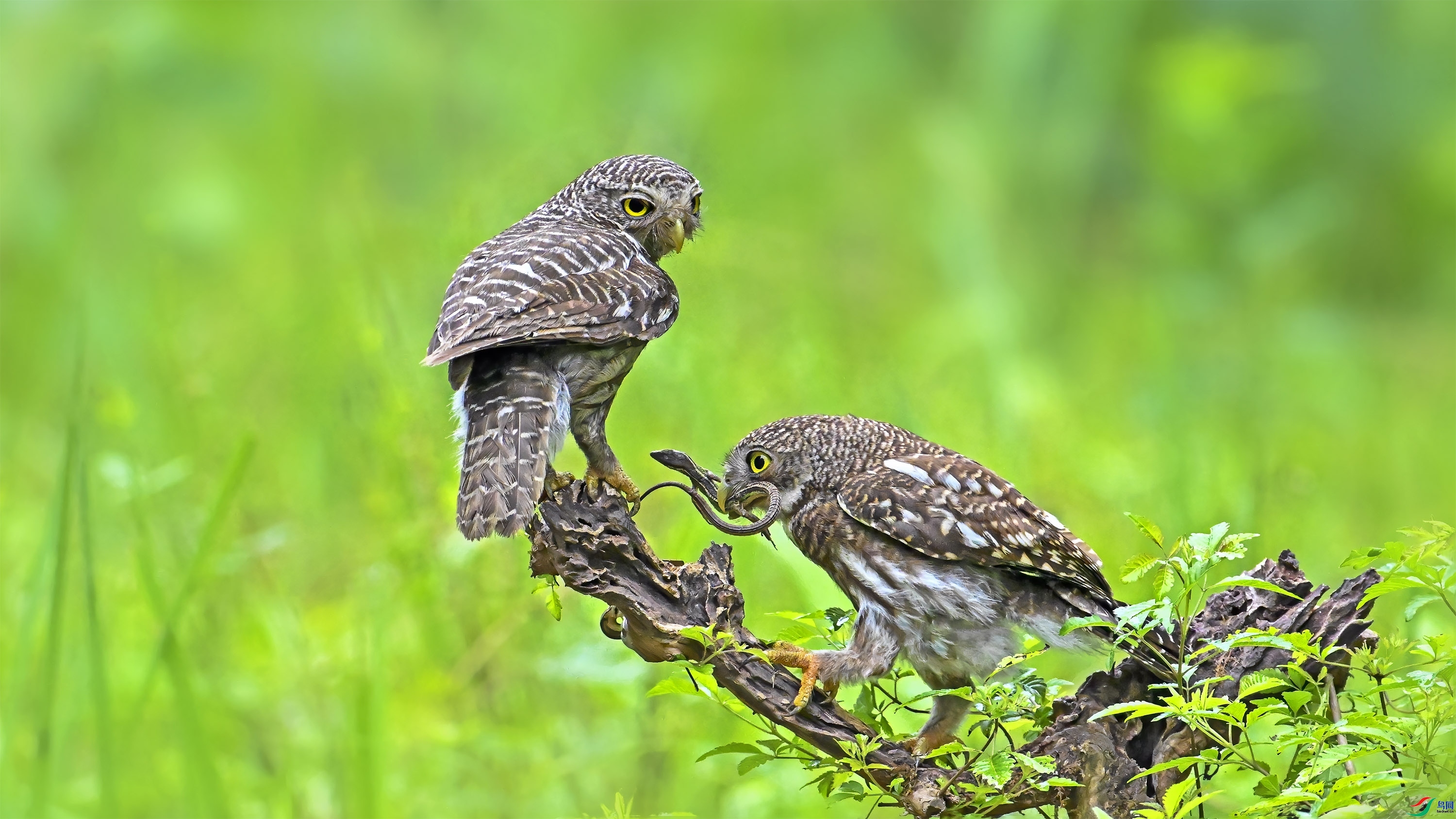 ��ͷ��m  ���� wh�ϳ� ��һ.jpg