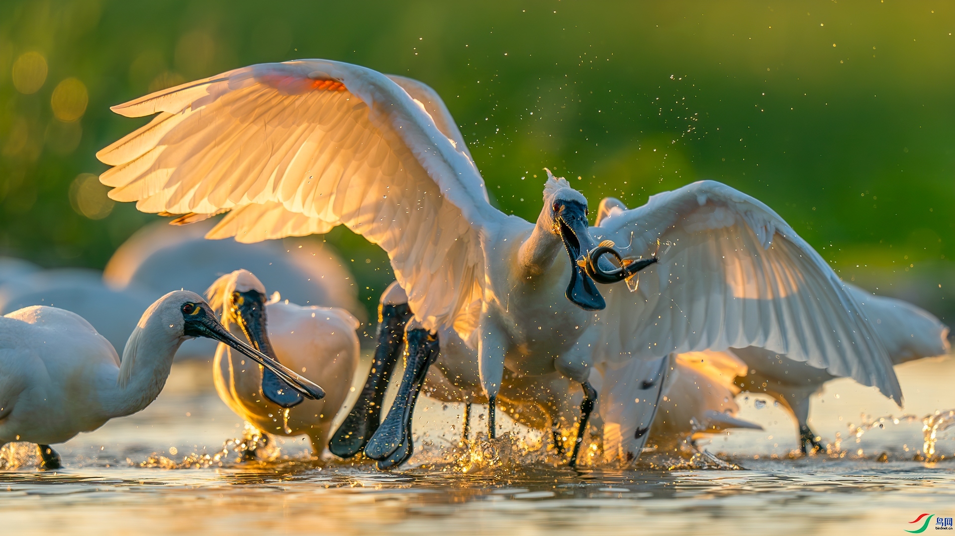 ͻΧ  ���� �������� ��һ.jpg