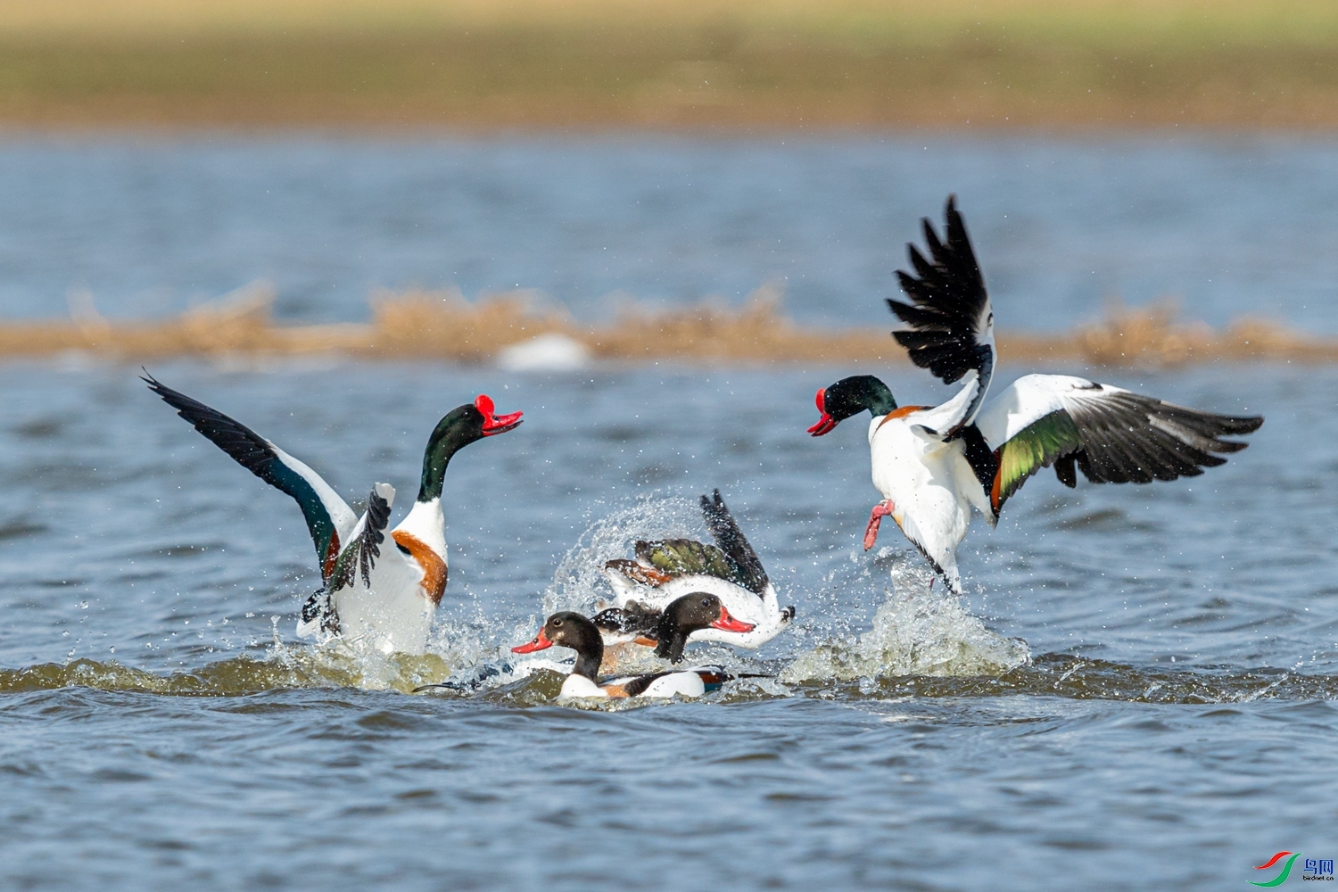 ��Ⱥ�� ���� 0459����  �ܶ�.jpg