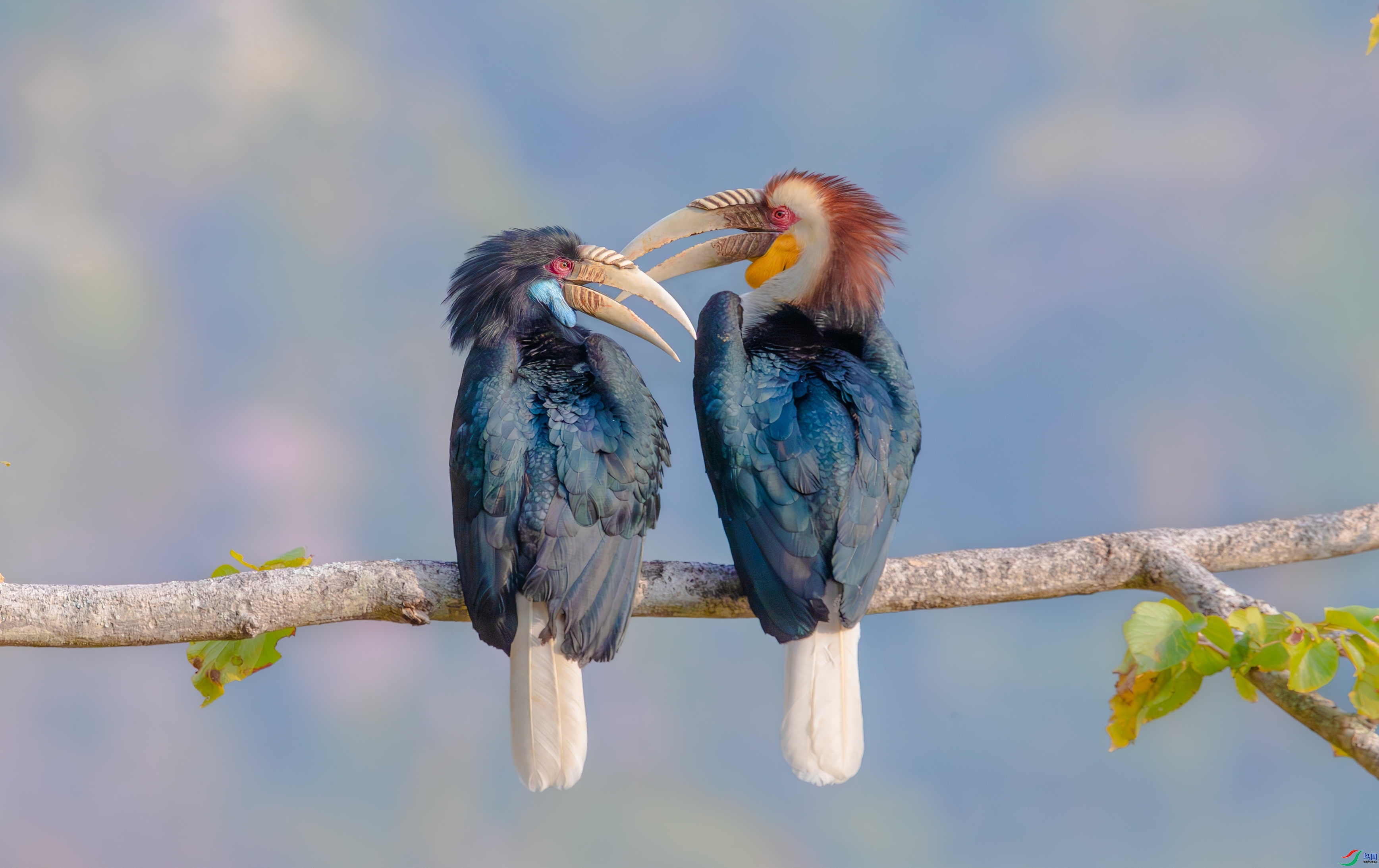 ��������  ���� ���� ����.jpg