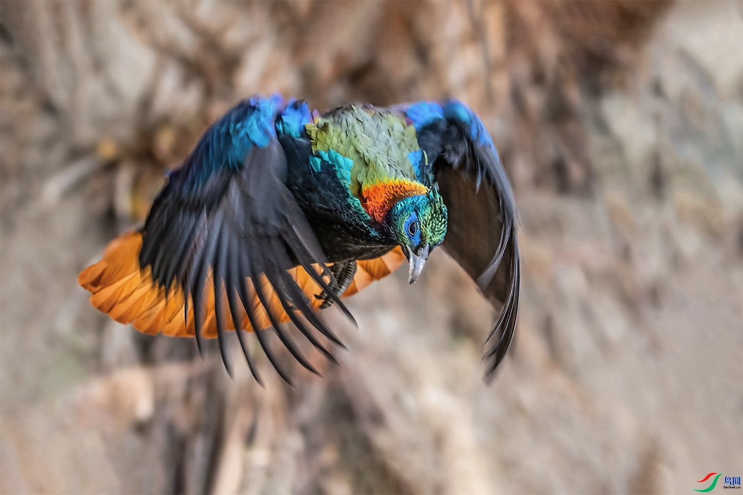 ������� ���� ͧ�� ����.jpg